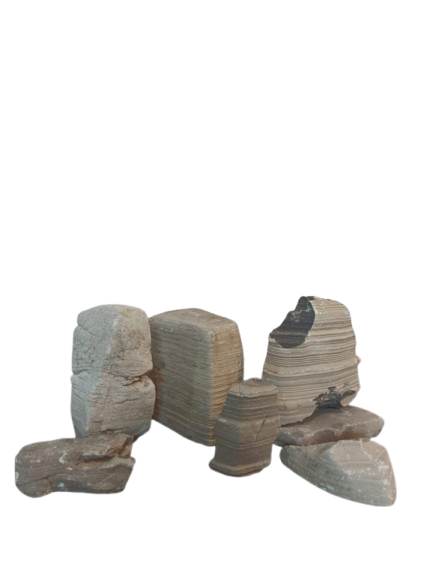 Gobi Desert Rock Single