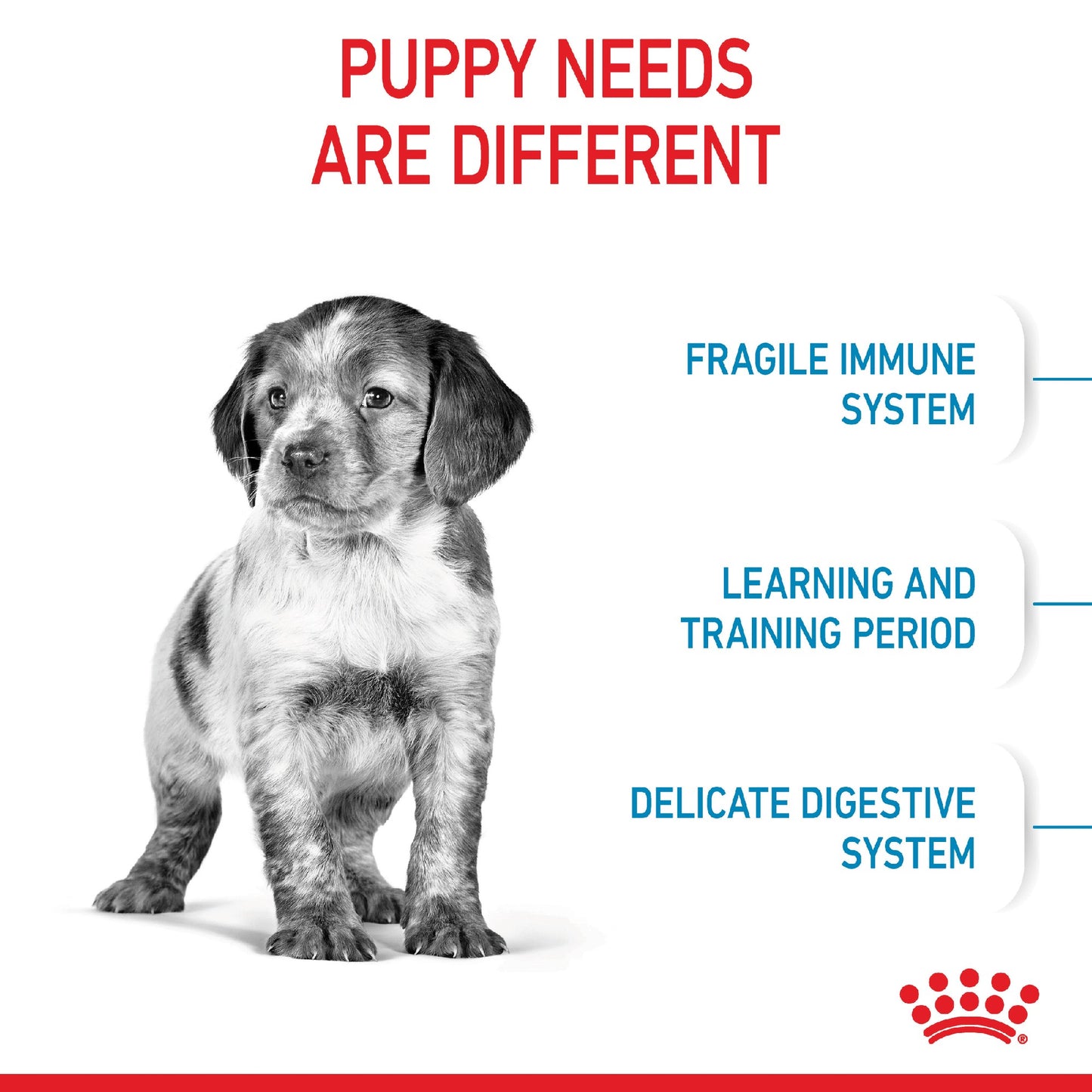 Royal Canin Dog Medium Puppy 15kg
