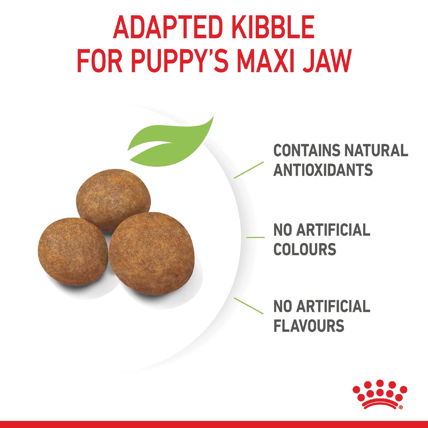 Royal Canin Dog Maxi Puppy 4kg