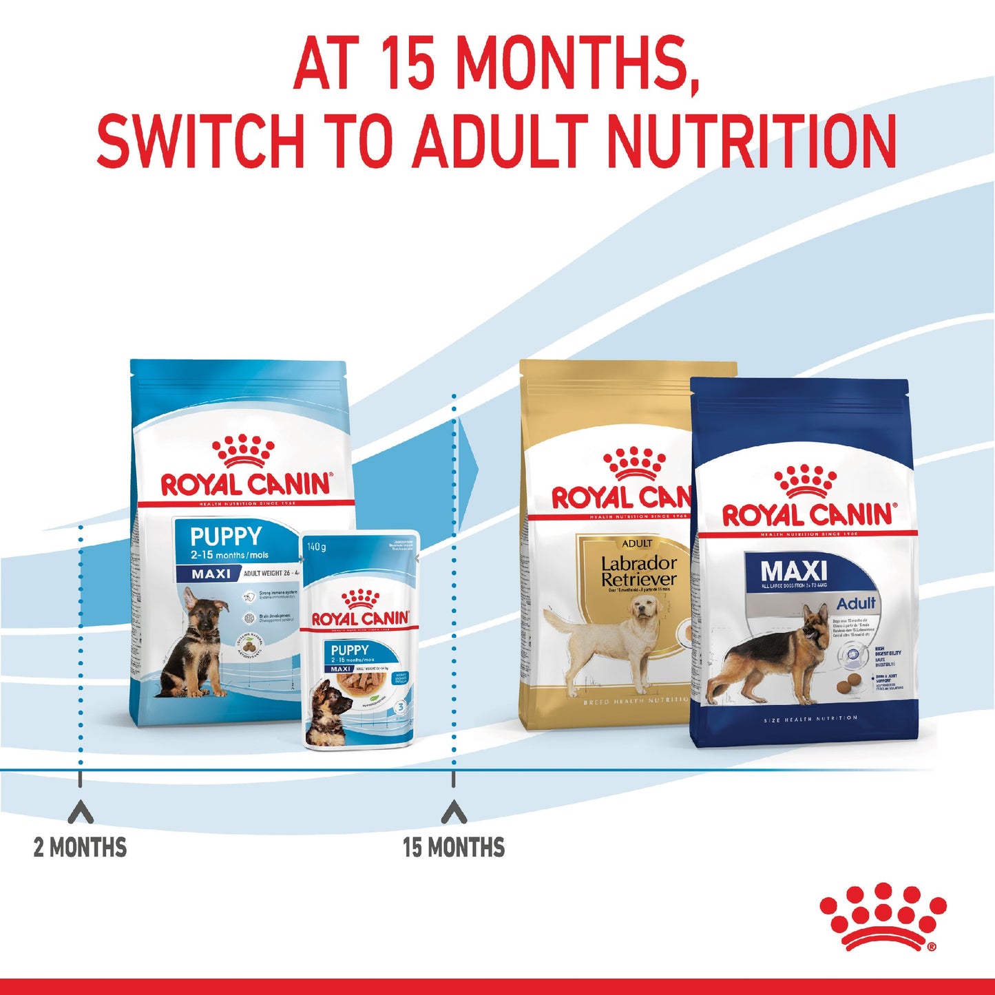 Royal Canin Dog Maxi Puppy 4kg