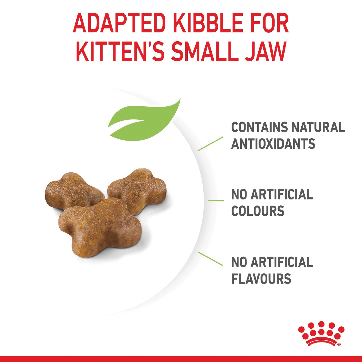 Royal Canin Cat Kitten 2kg