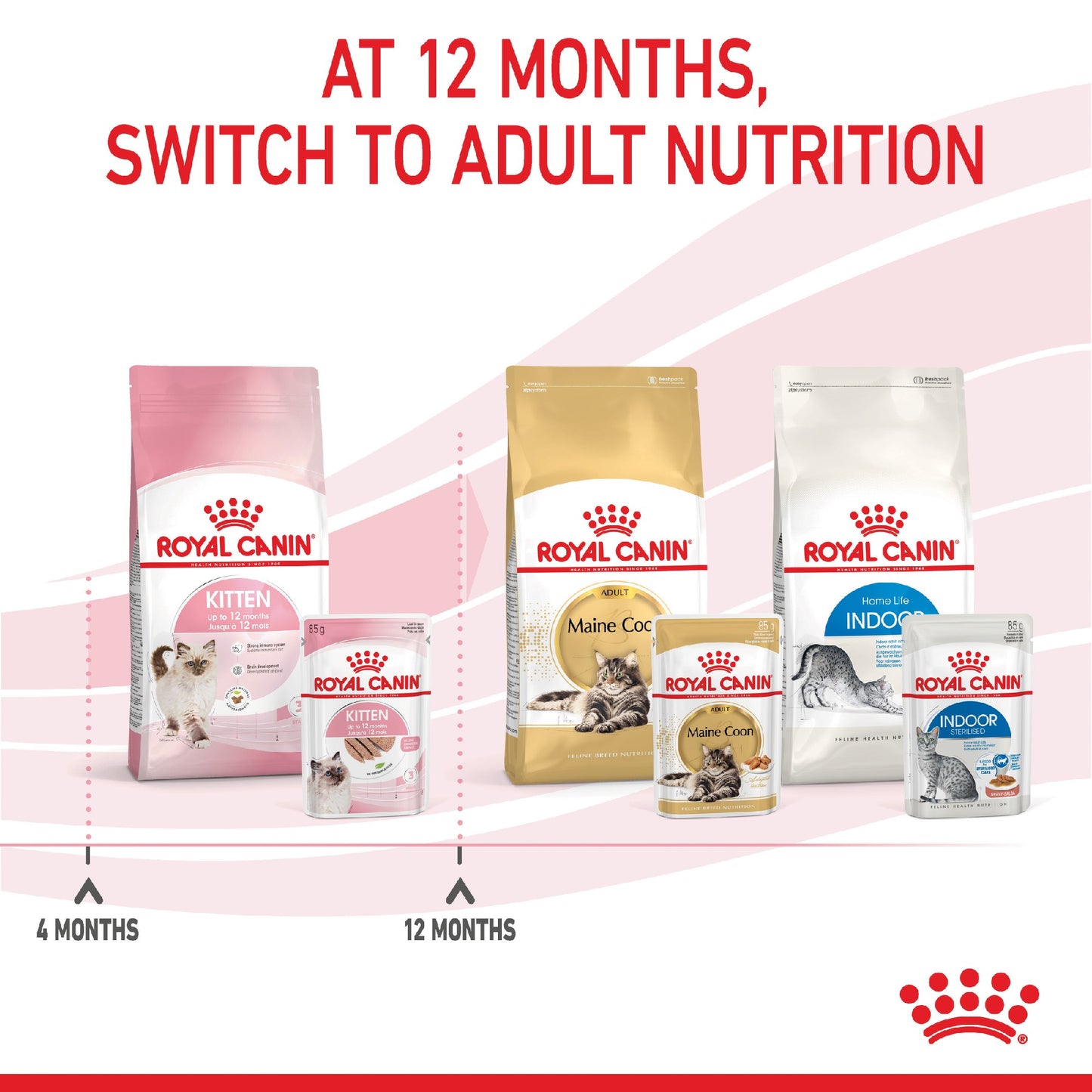 Royal Canin Cat Kitten 2kg