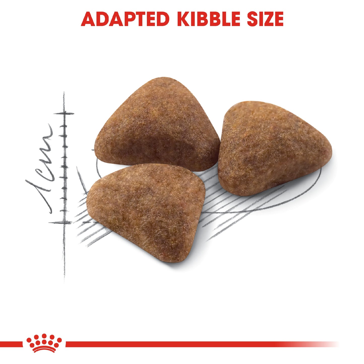 Royal Canin Cat Indoor 2kg