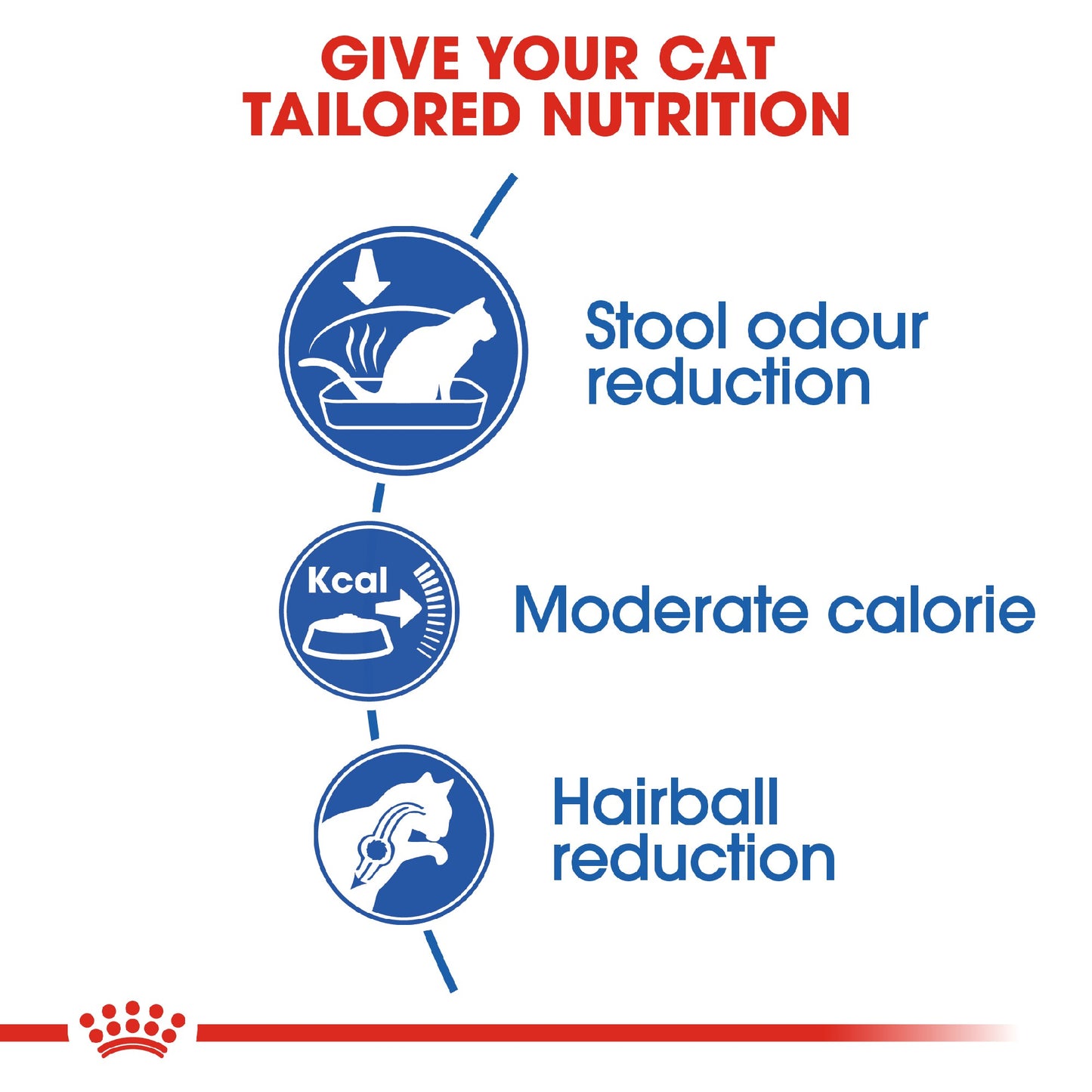 Royal Canin Cat Indoor 4kg