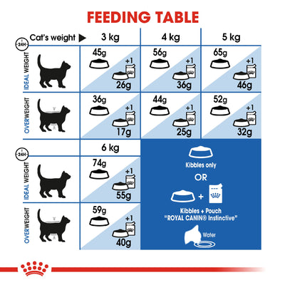 Royal Canin Cat Indoor 10kg