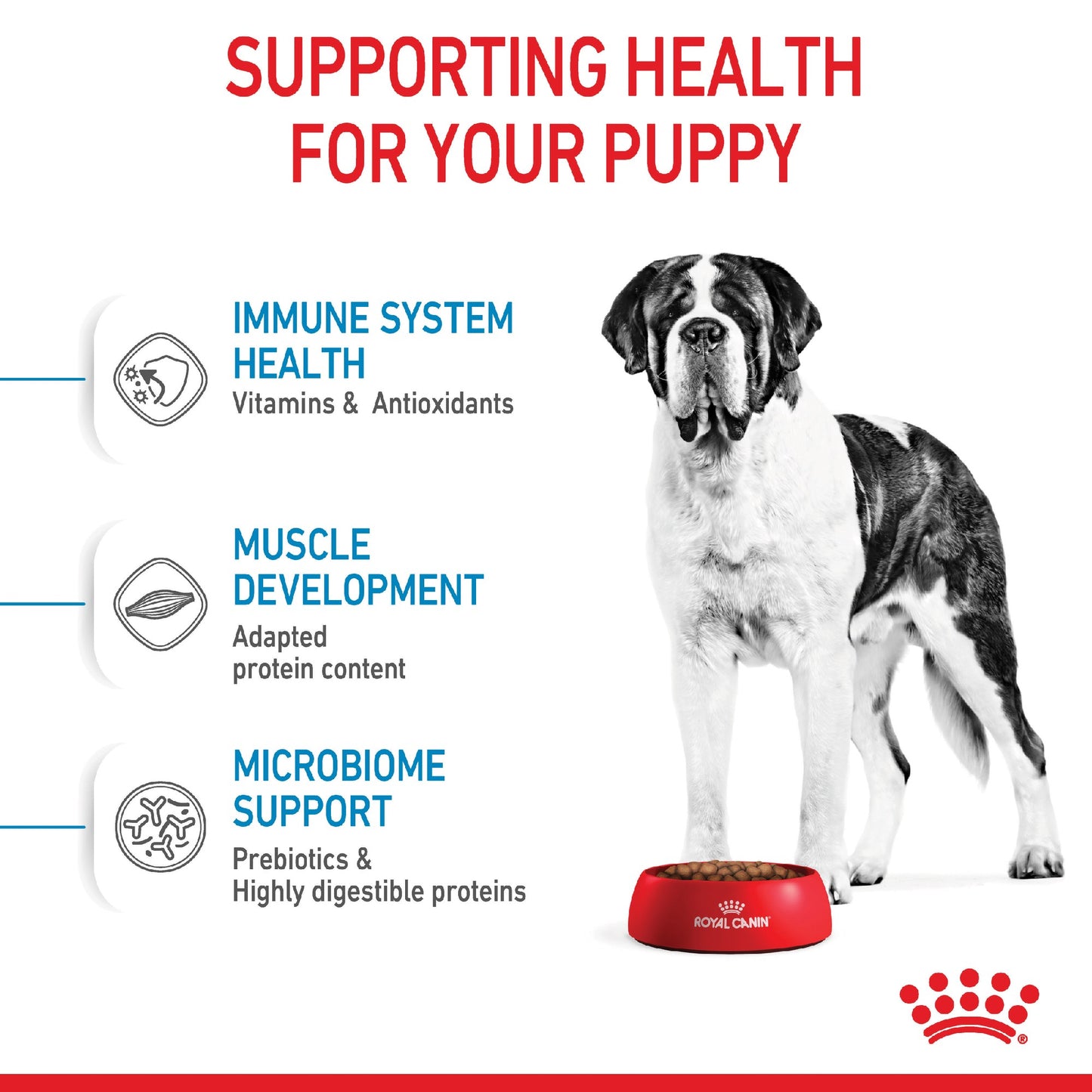 Royal Canin Dog Giant Junior 15kg