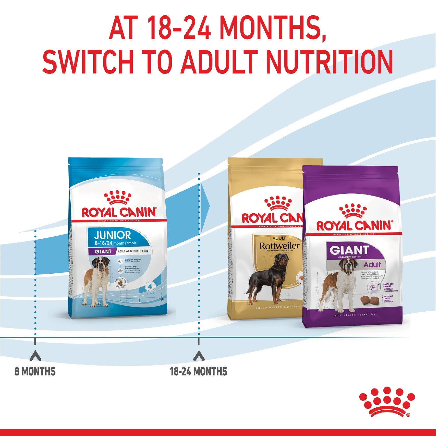 Royal Canin Dog Giant Junior 15kg