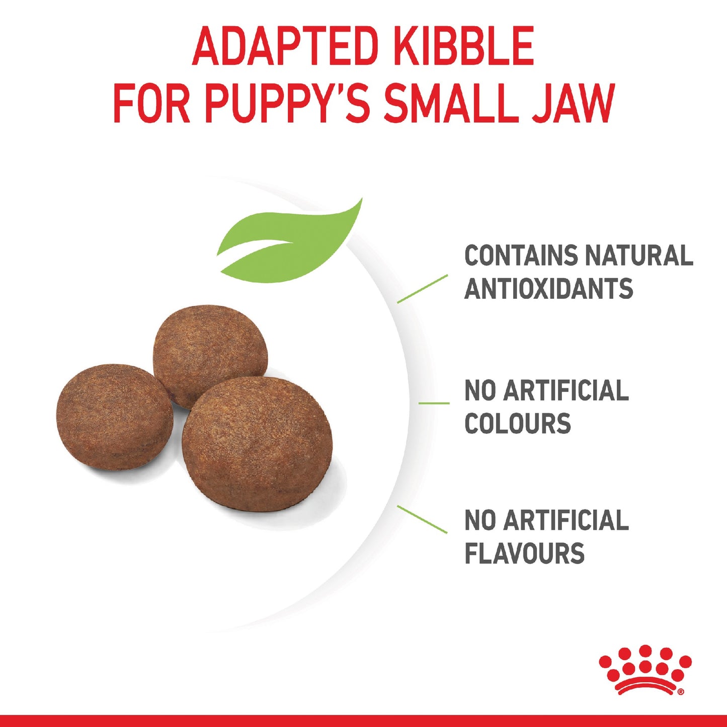 Royal Canin Dog Medium Puppy 4kg
