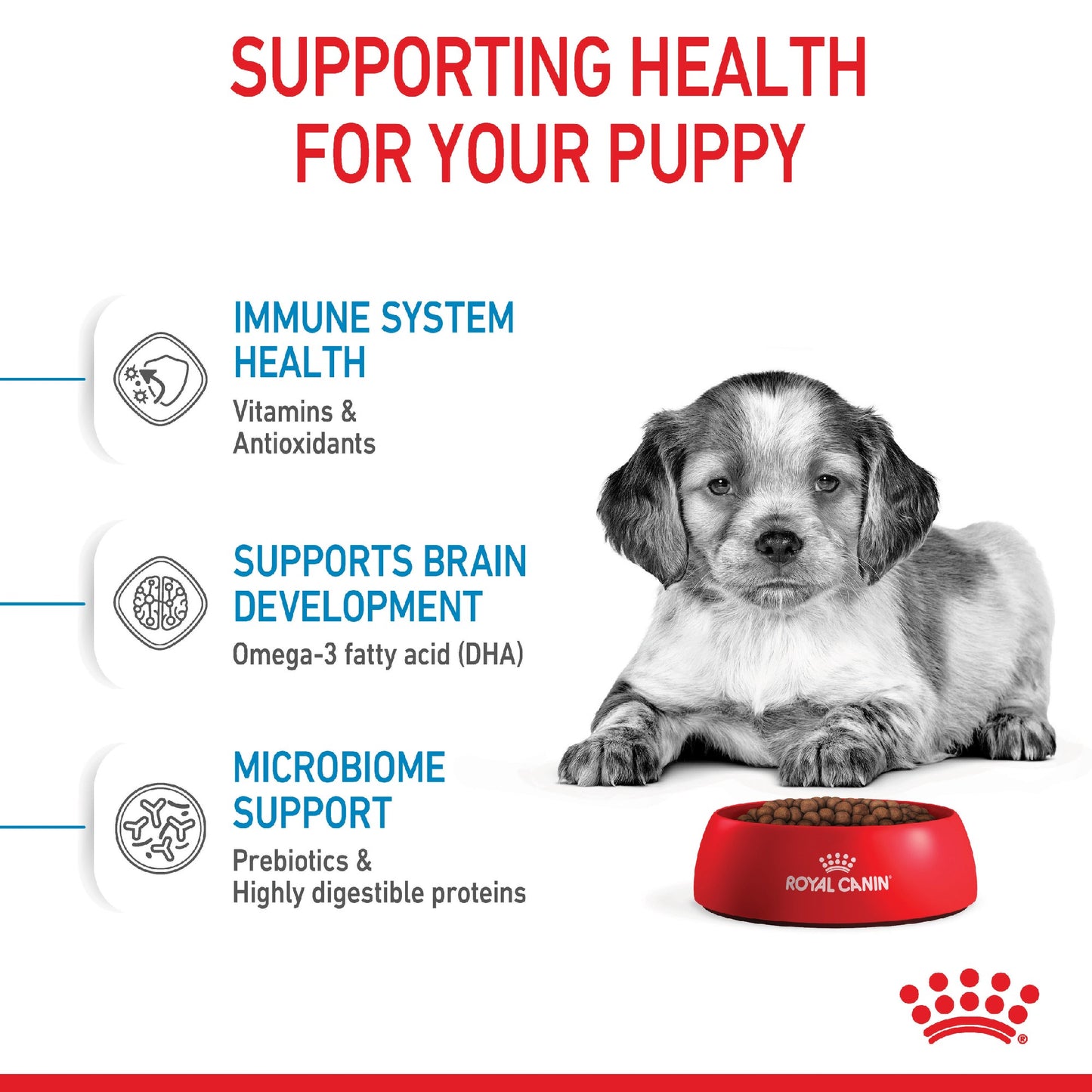 Royal Canin Dog Medium Puppy 4kg