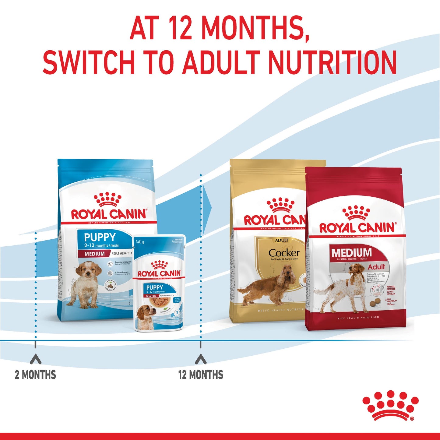 Royal Canin Dog Medium Puppy 4kg