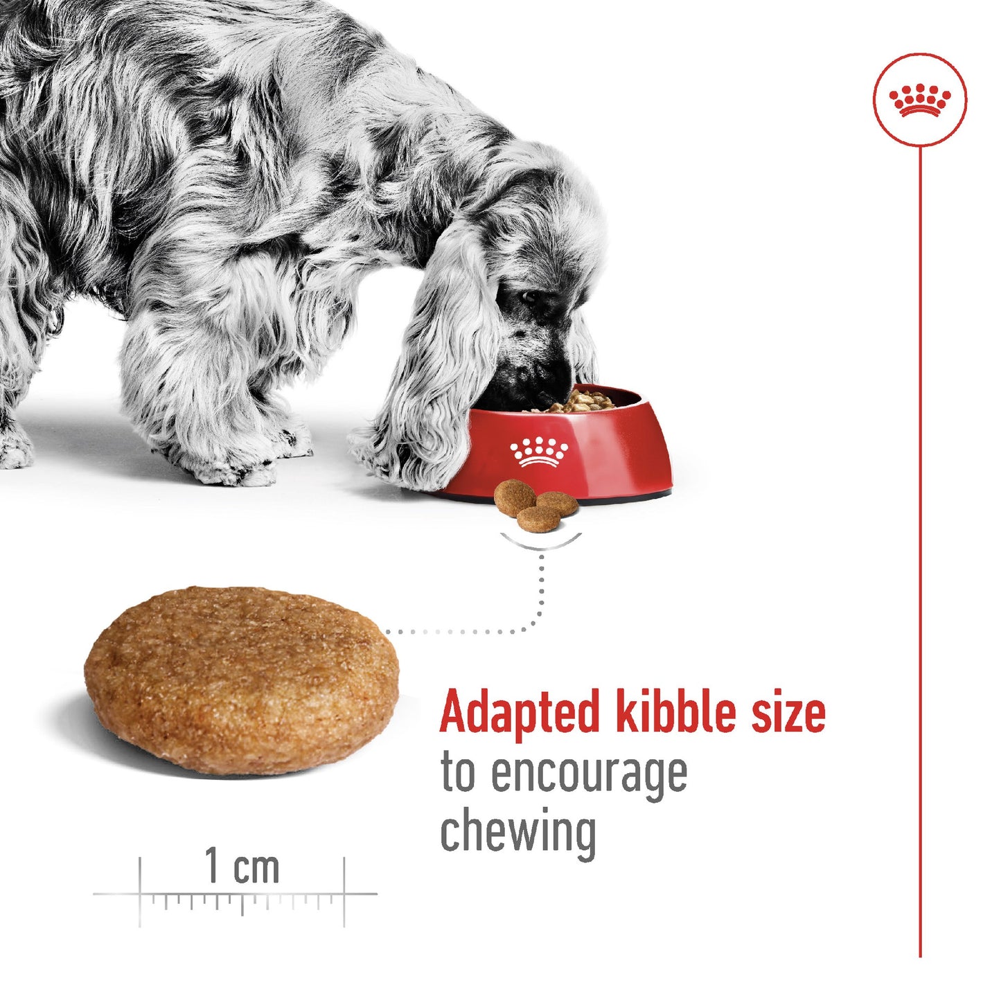 Royal Canin Dog Medium Adult 4kg