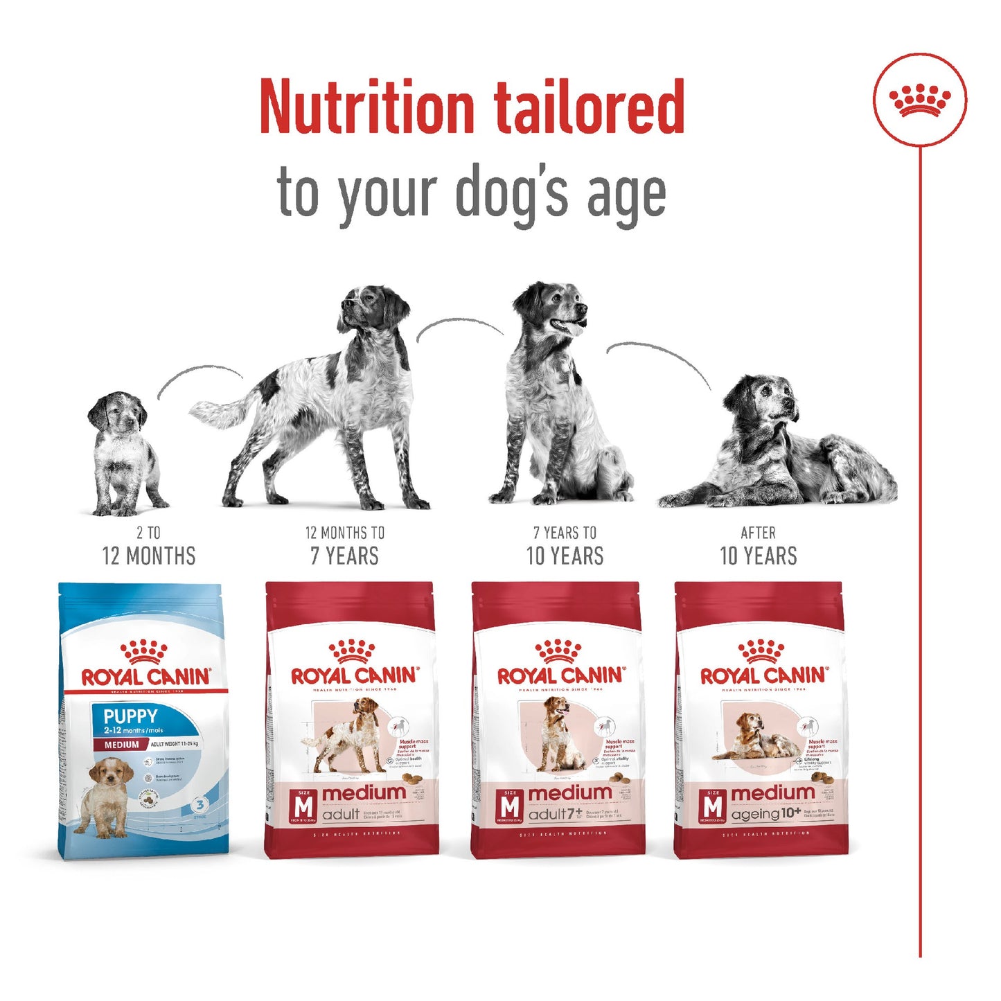 Royal Canin Dog Medium Adult 4kg