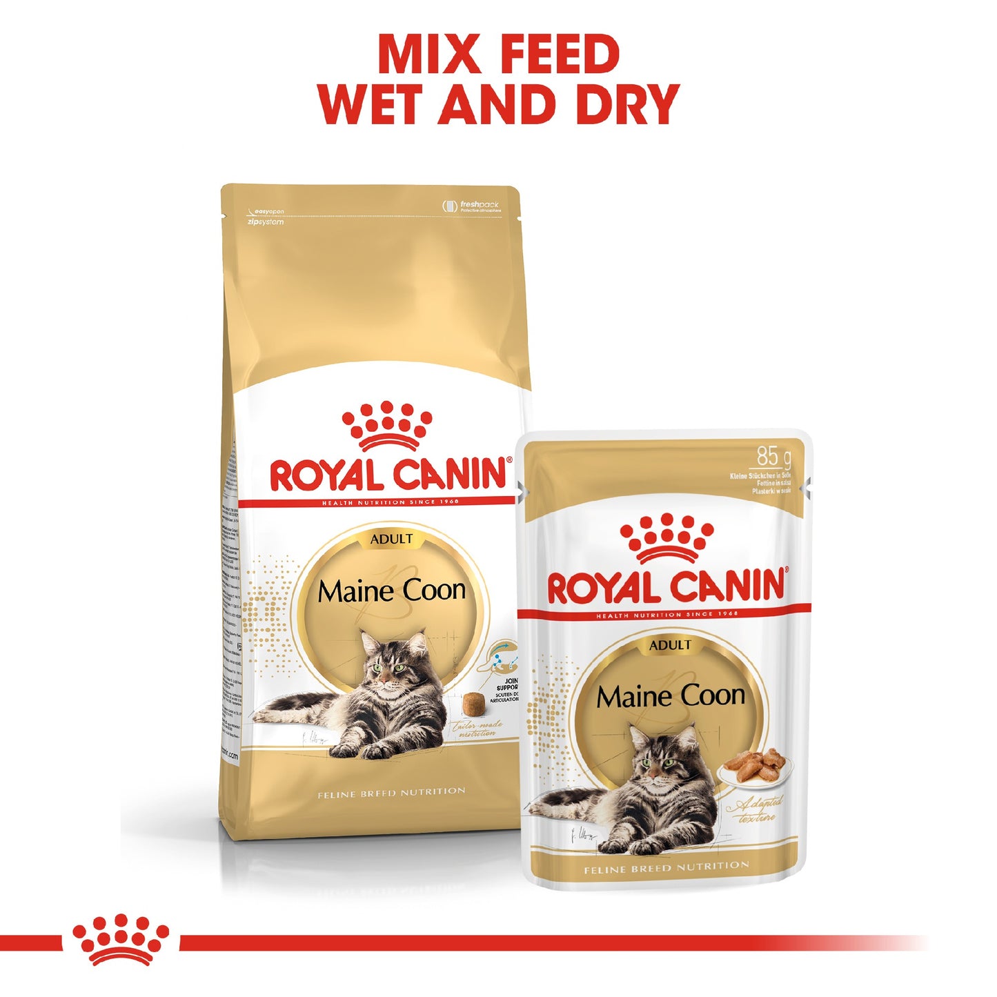 Royal Canin Cat Maine Coon 10kg