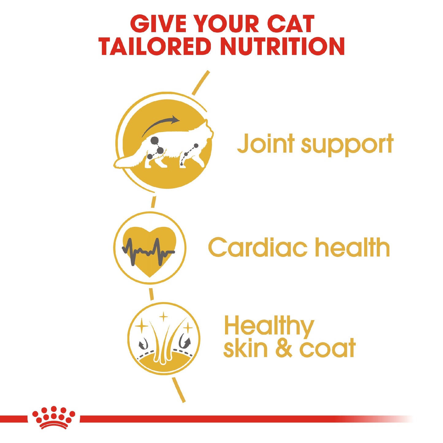 Royal Canin Cat Maine Coon 10kg