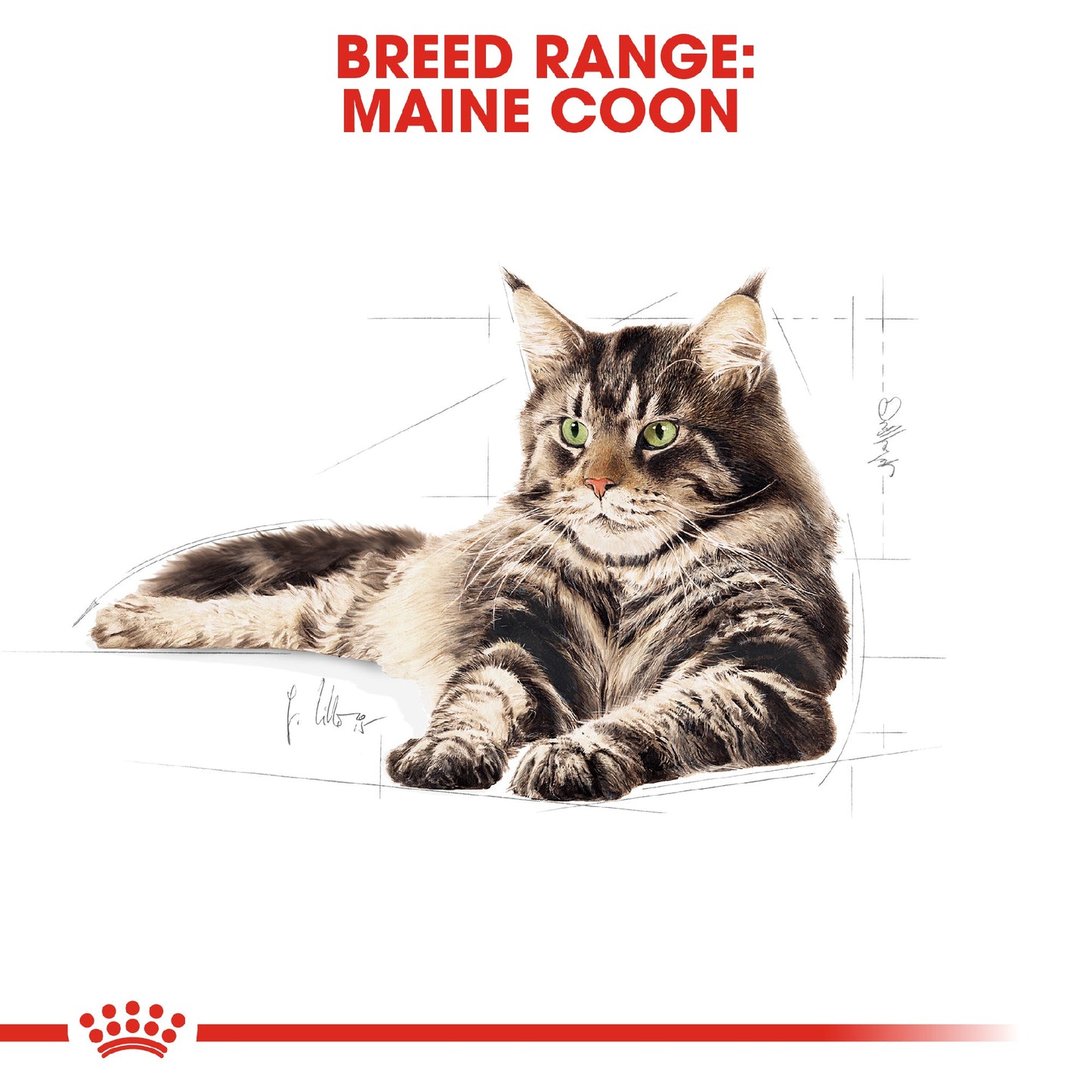 Royal Canin Cat Maine Coon 10kg