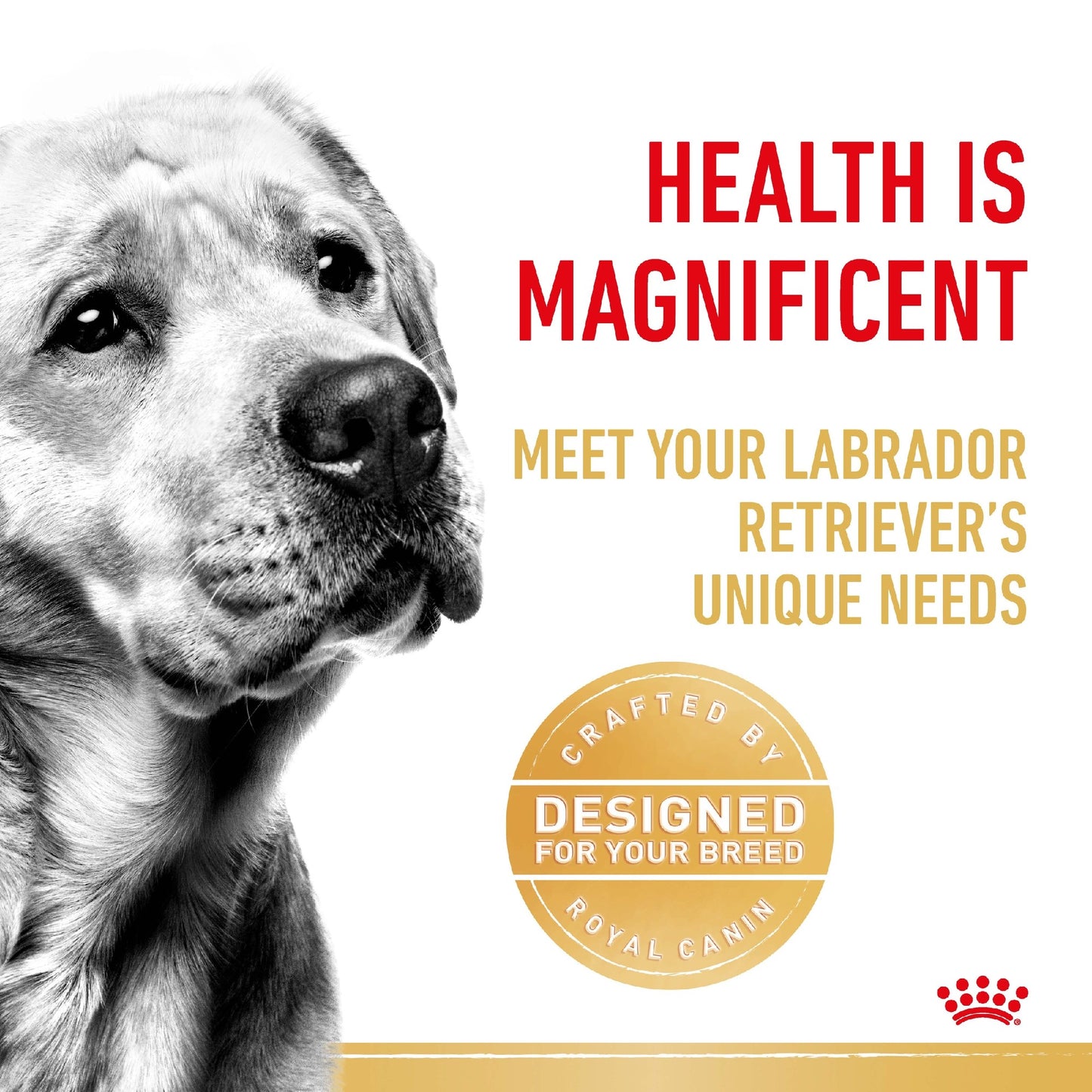 Royal Canin Dog Labrador Adult 12kg