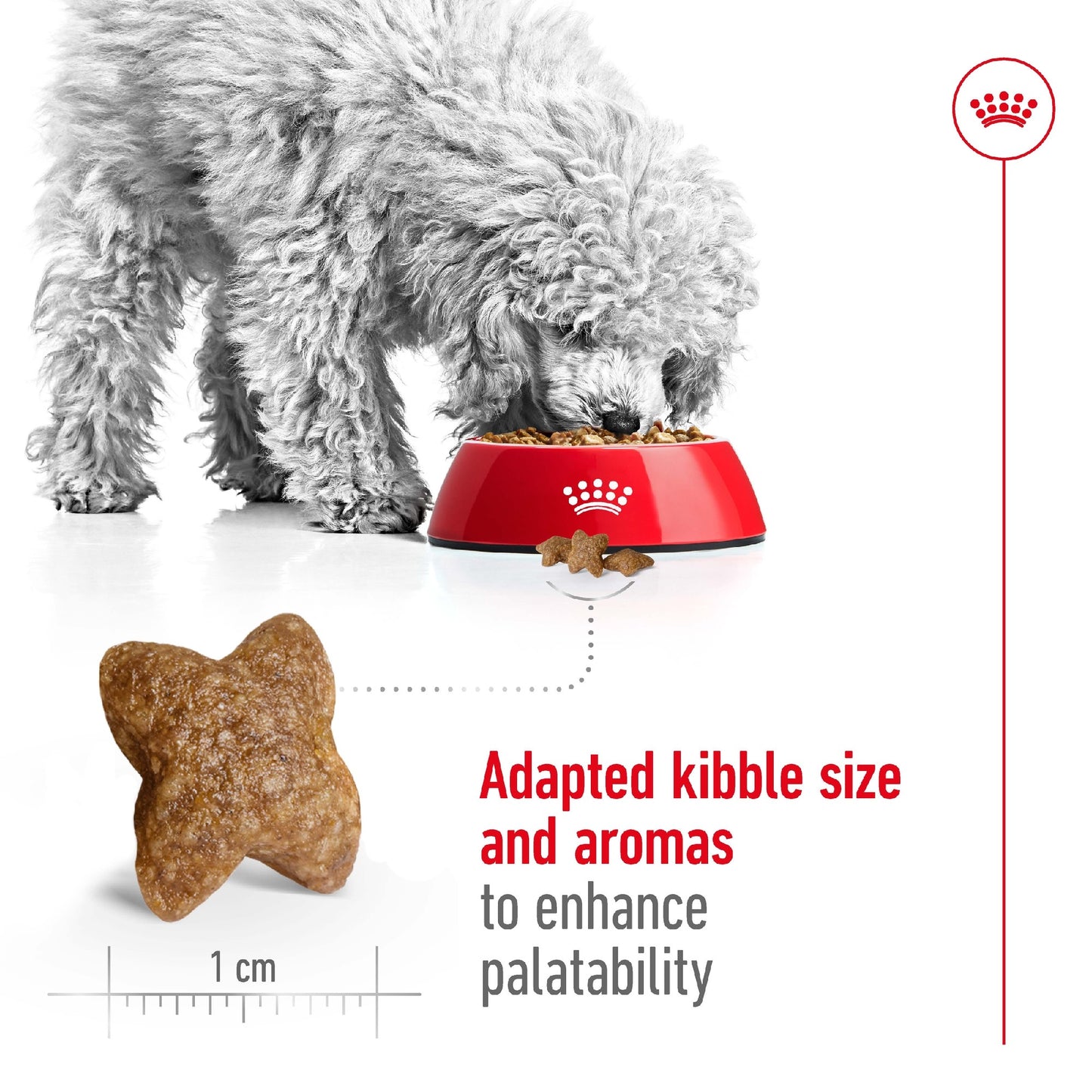 Royal Canin Dog Mini Adult 8kg