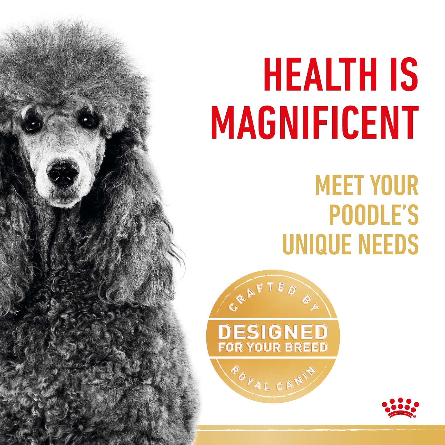Royal Canin Dog Adult Poodle 7.5kg