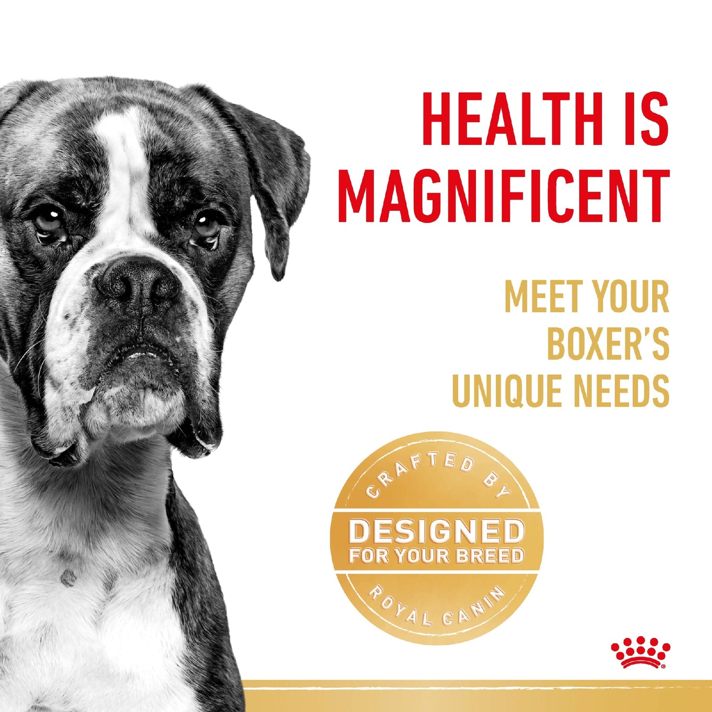 Royal Canin Dog Adult Boxer 12kg