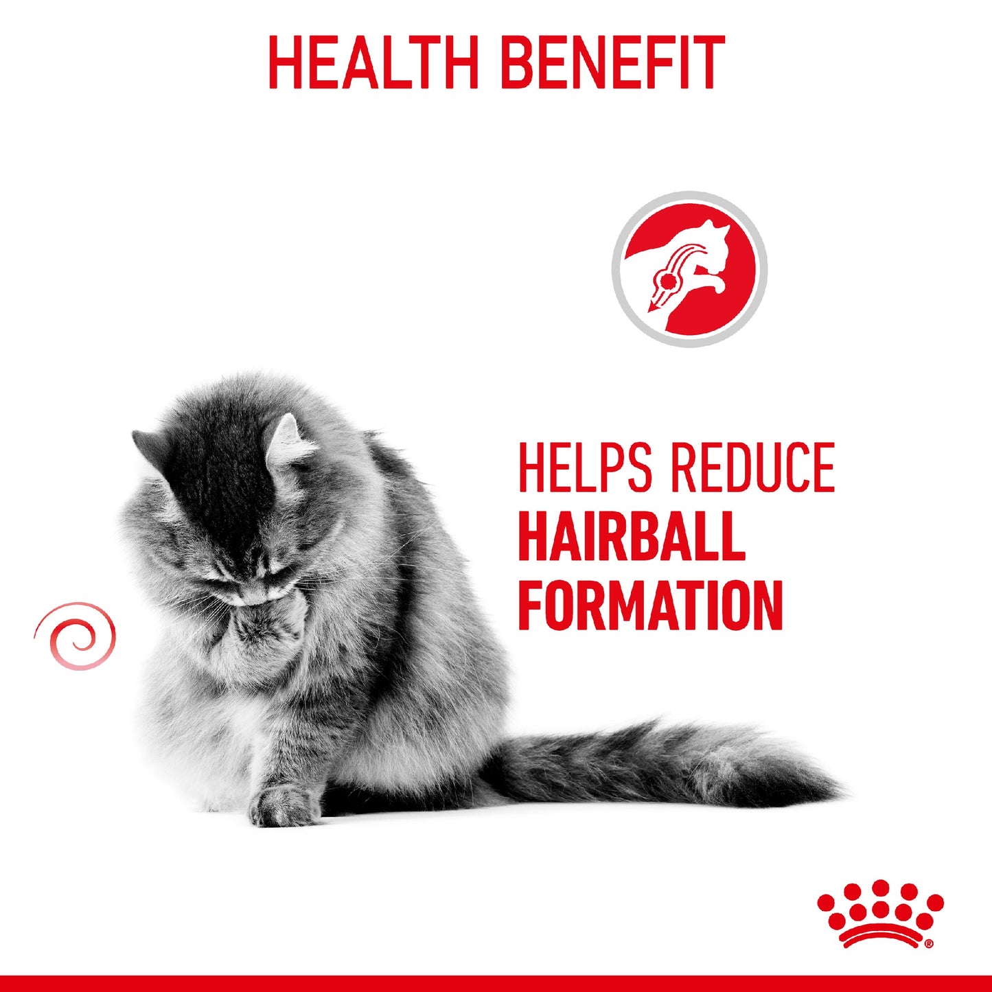 Royal Canin Cat Intense Hairball 4kg