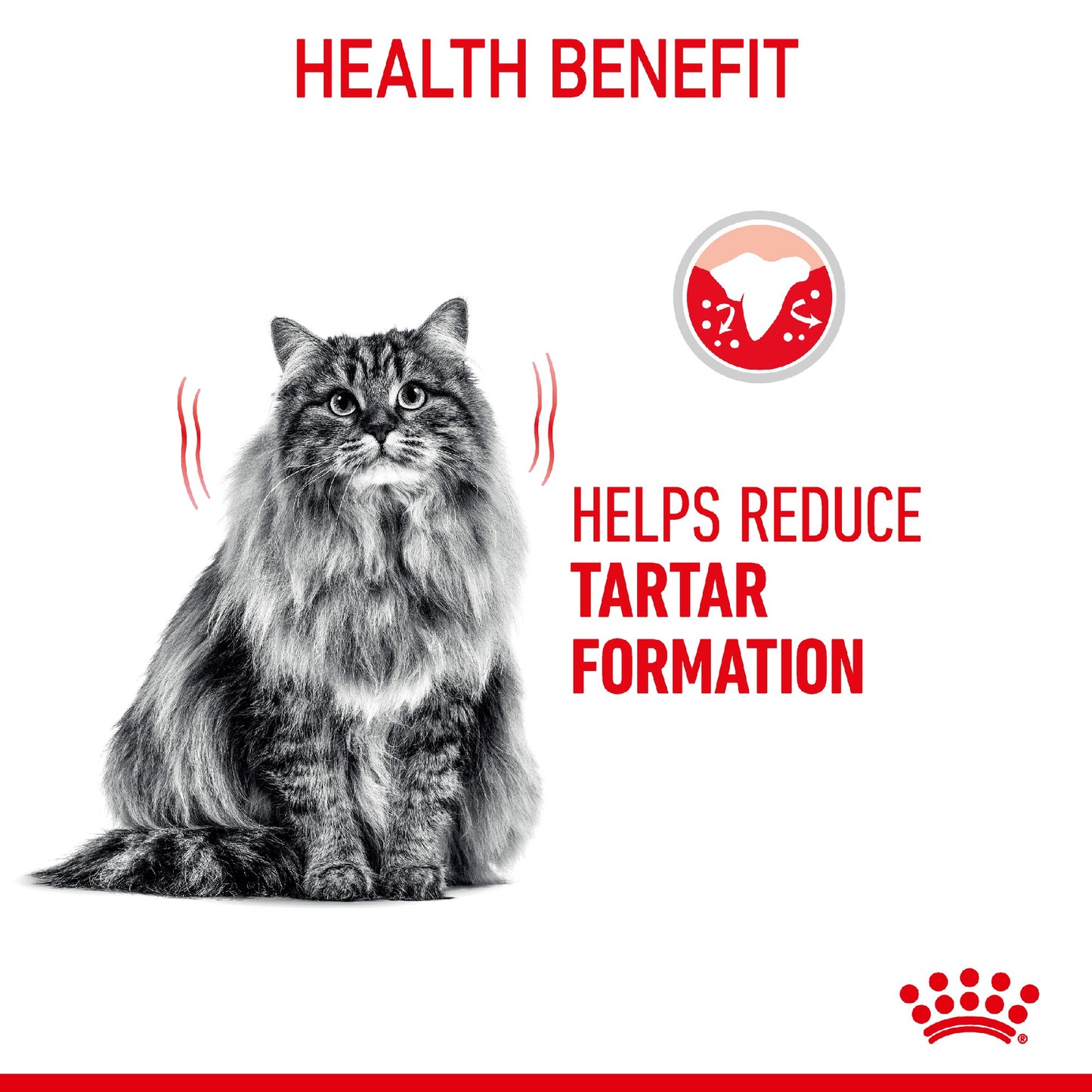 Royal Canin Cat Oral Care 8kg