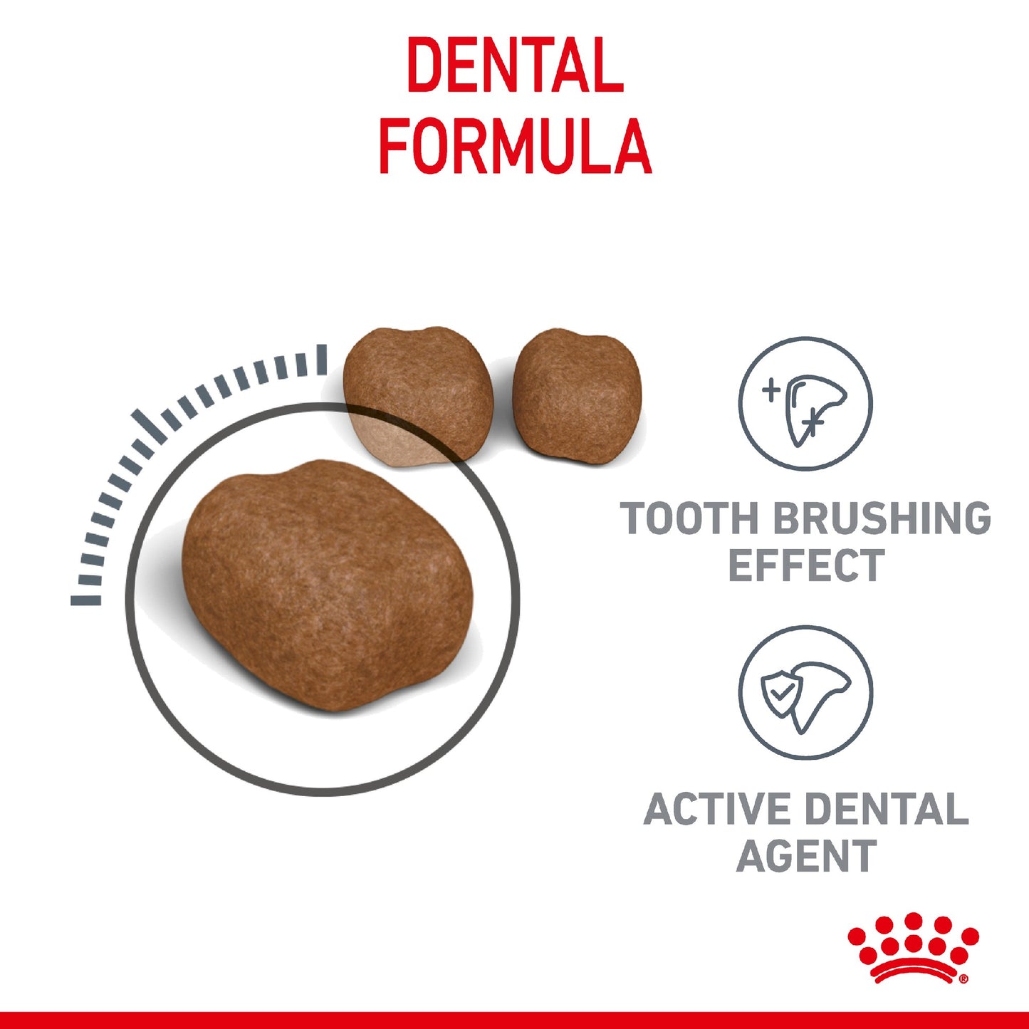 Royal Canin Cat Oral Care 8kg
