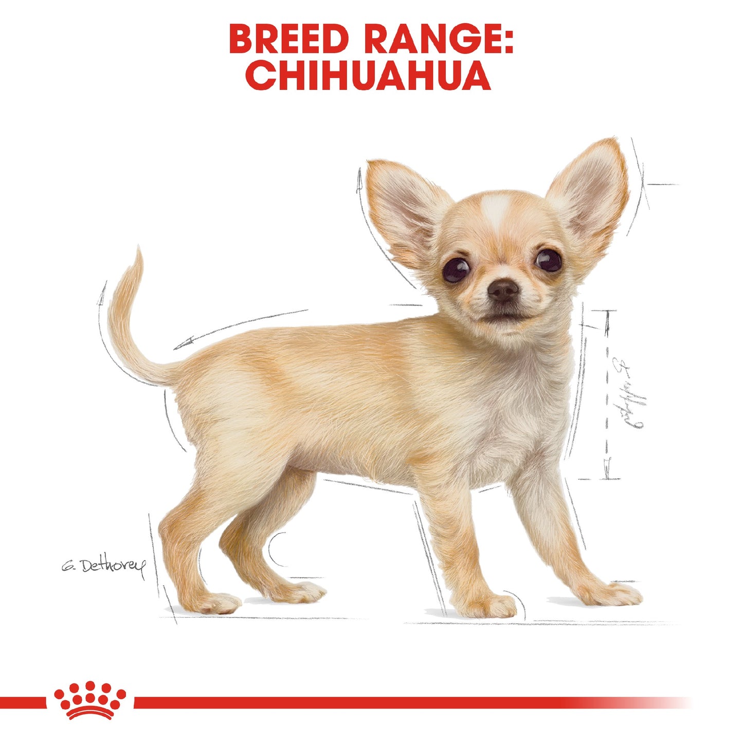 Royal Canin Dog Puppy Chihuahua 1.5kg