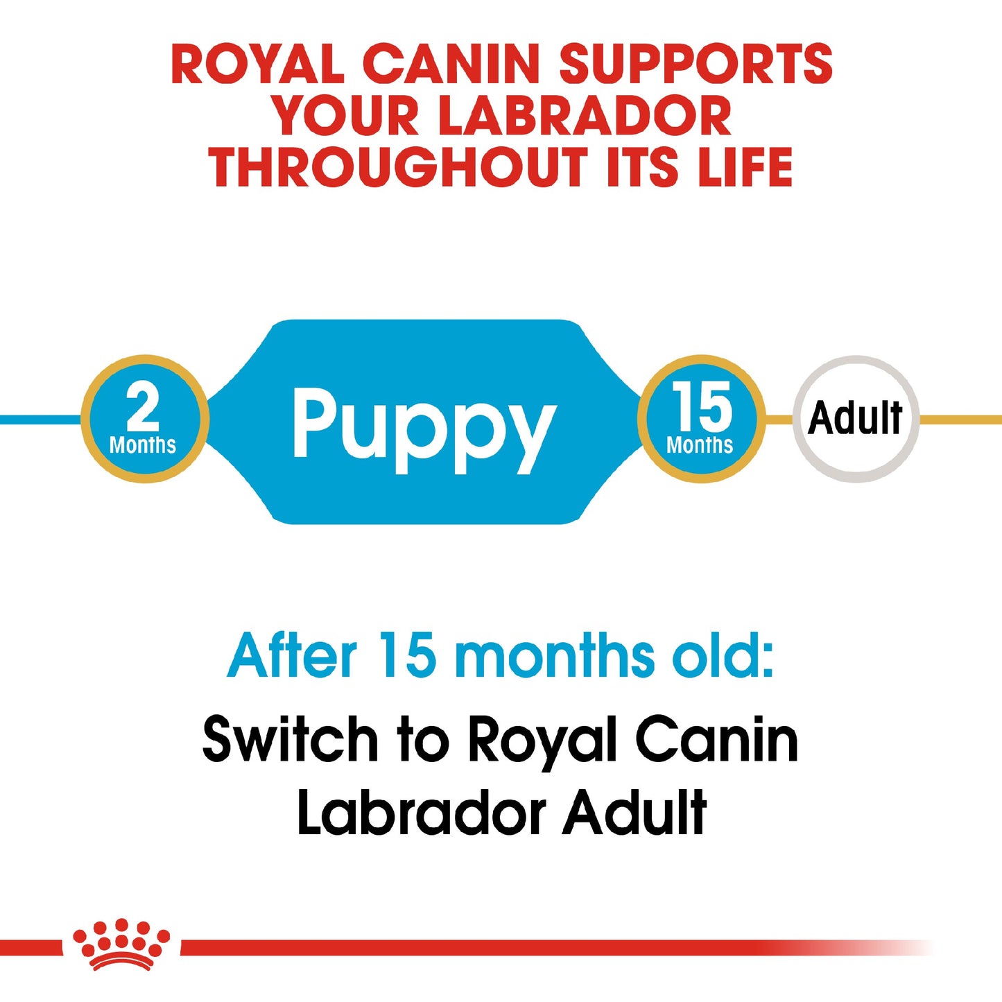 Royal Canin Dog Labrador Puppy 12kg
