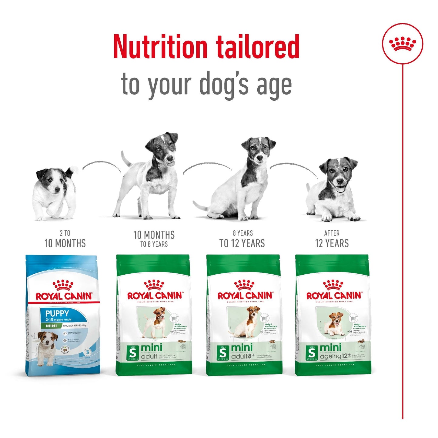 Royal Canin Dog Mini Adult 4kg