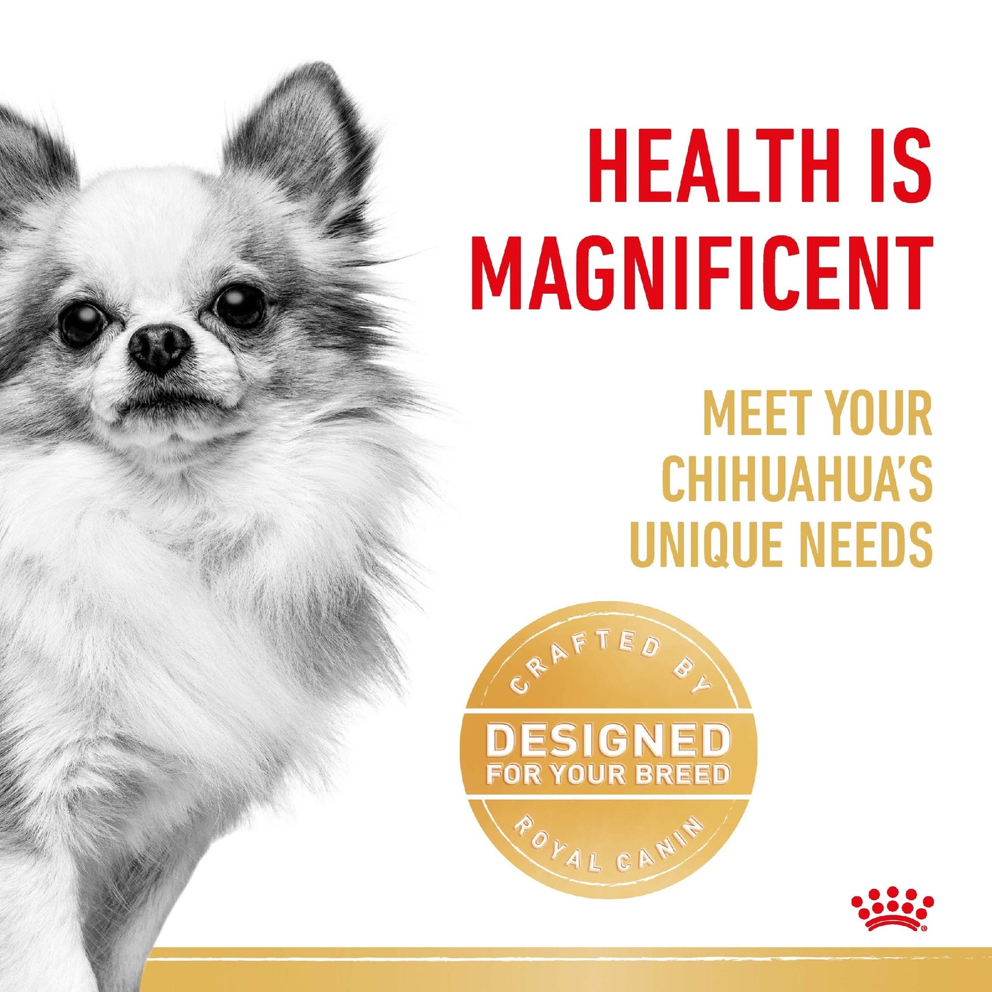 Royal Canin Dog Adult Chihuahua 1.5kg