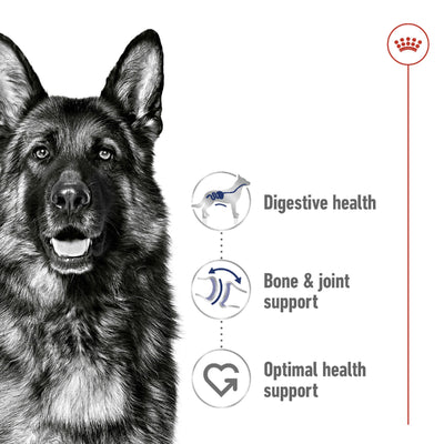 Royal Canin Dog Maxi Adult 15kg *Availalbe Instore or Local Delivery Only*