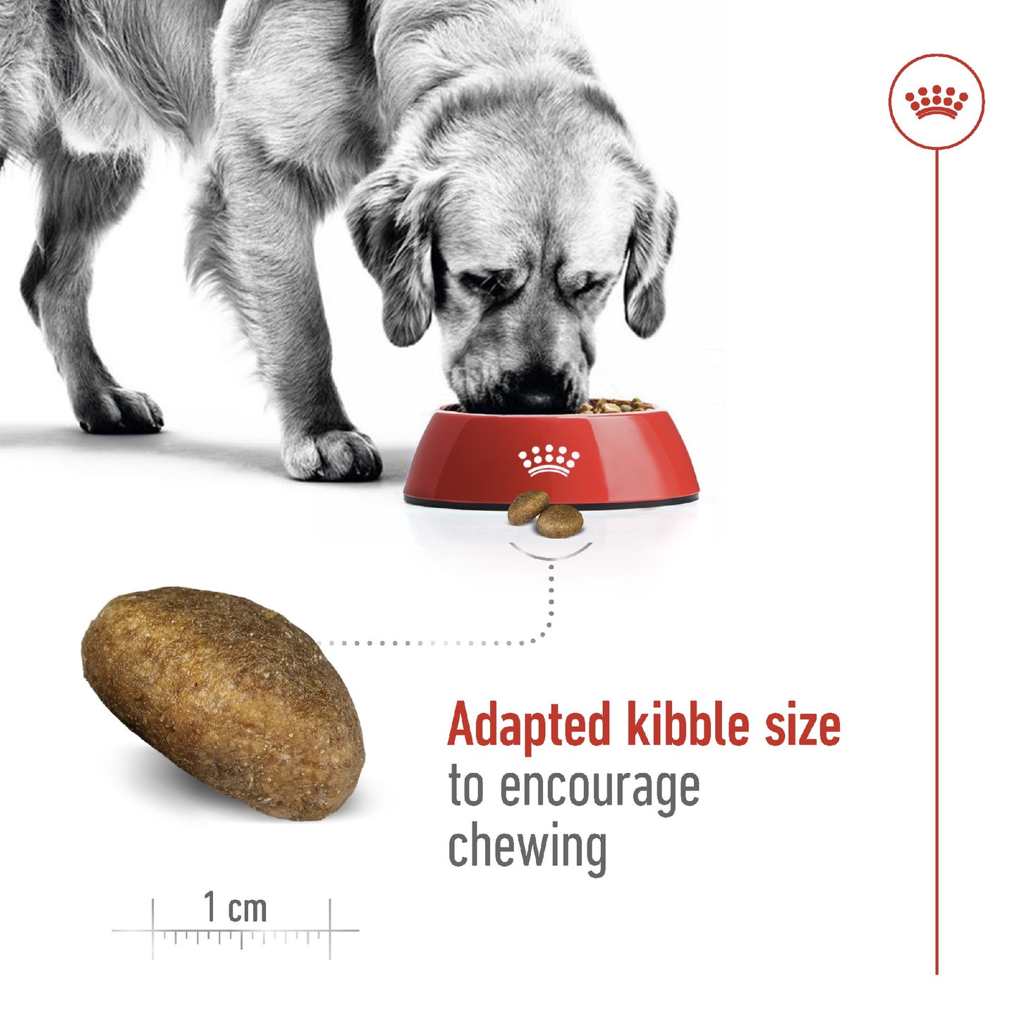 Royal Canin Dog Maxi Adult 15kg *Availalbe Instore or Local Delivery Only*