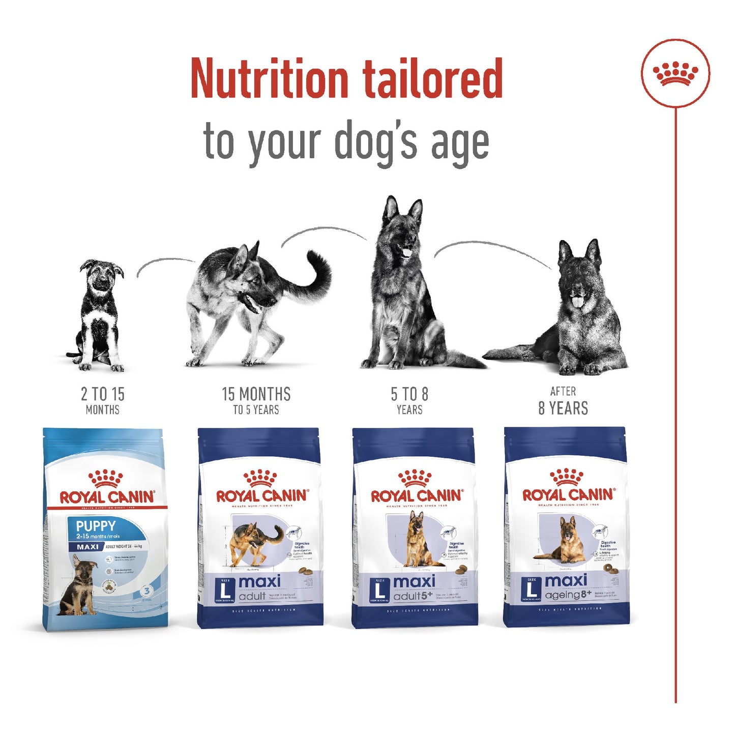 Royal Canin Dog Maxi Adult 15kg *Availalbe Instore or Local Delivery Only*