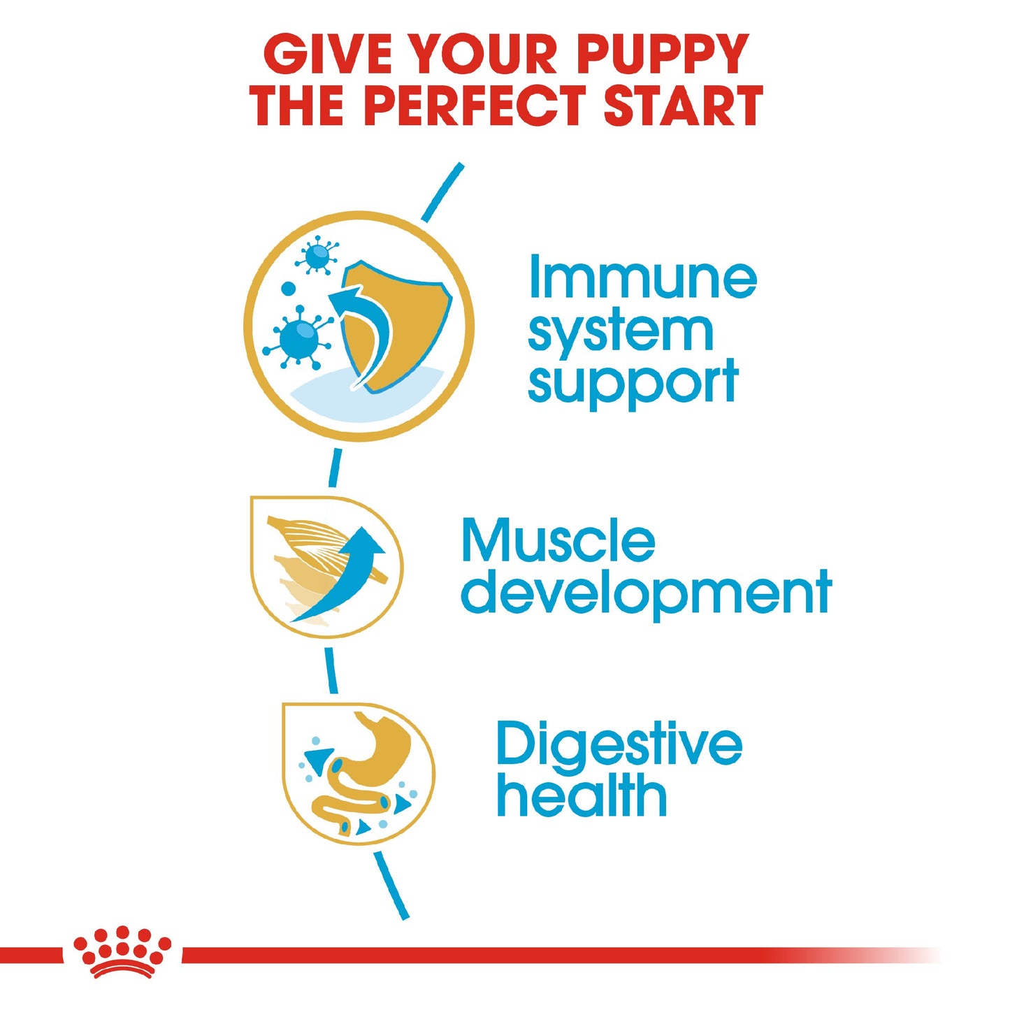Royal Canin Dog Boxer Junior 12KG