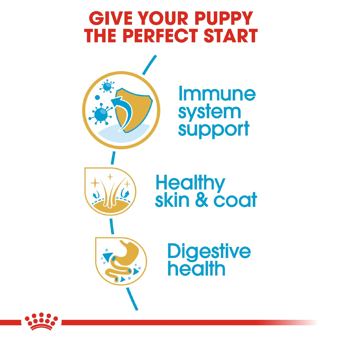 Royal Canin Dog Golden Retriever Puppy 12kg