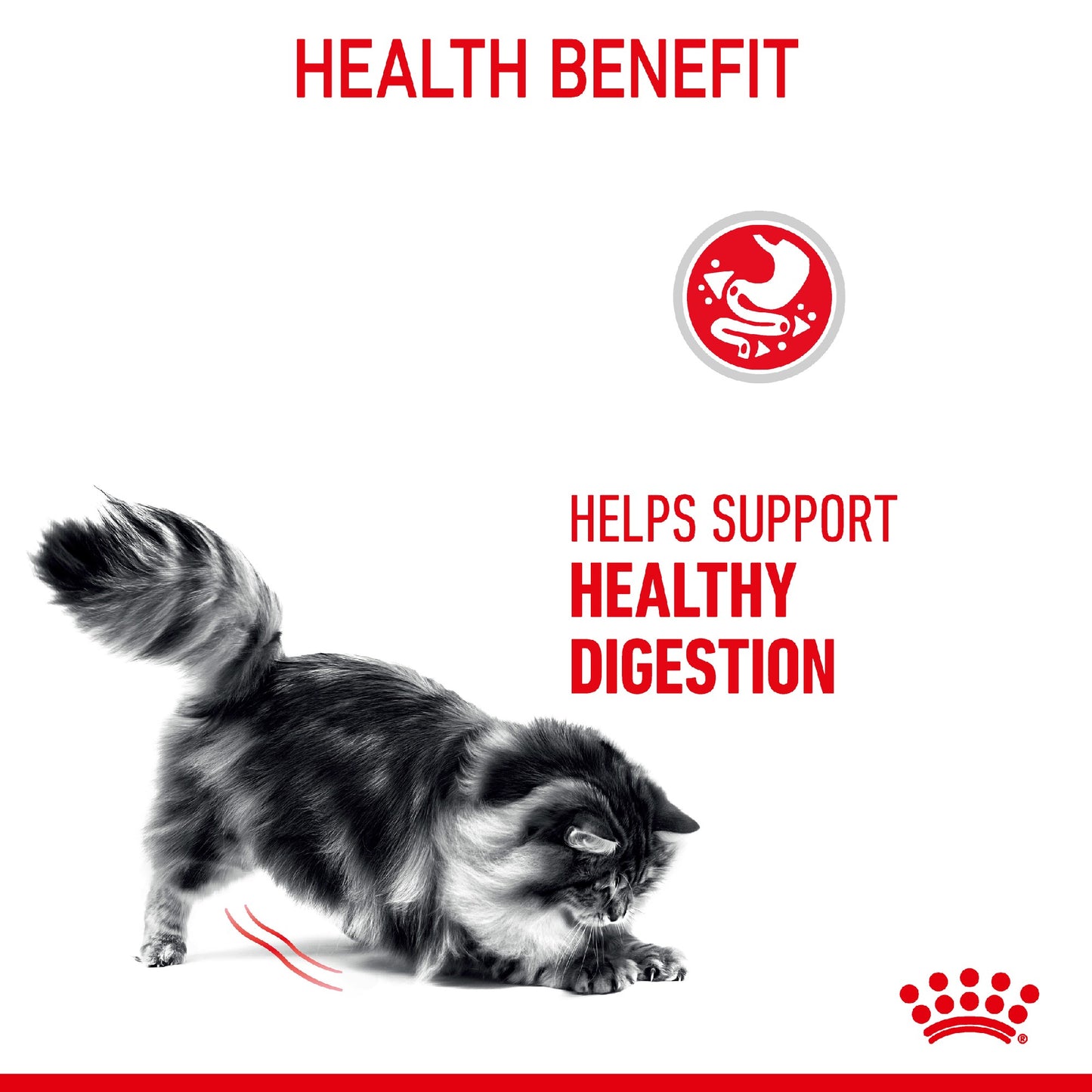 Royal Canin Cat Digestive Care 2kg