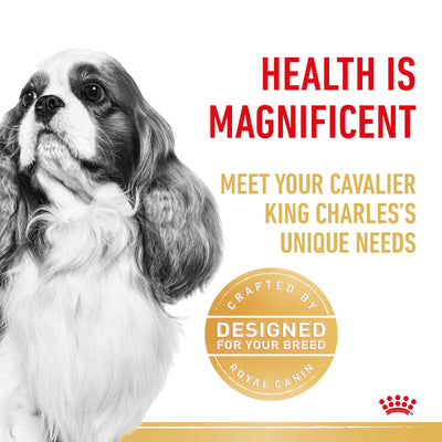Royal Canin Dog Cavalier Adult 7.5 kg