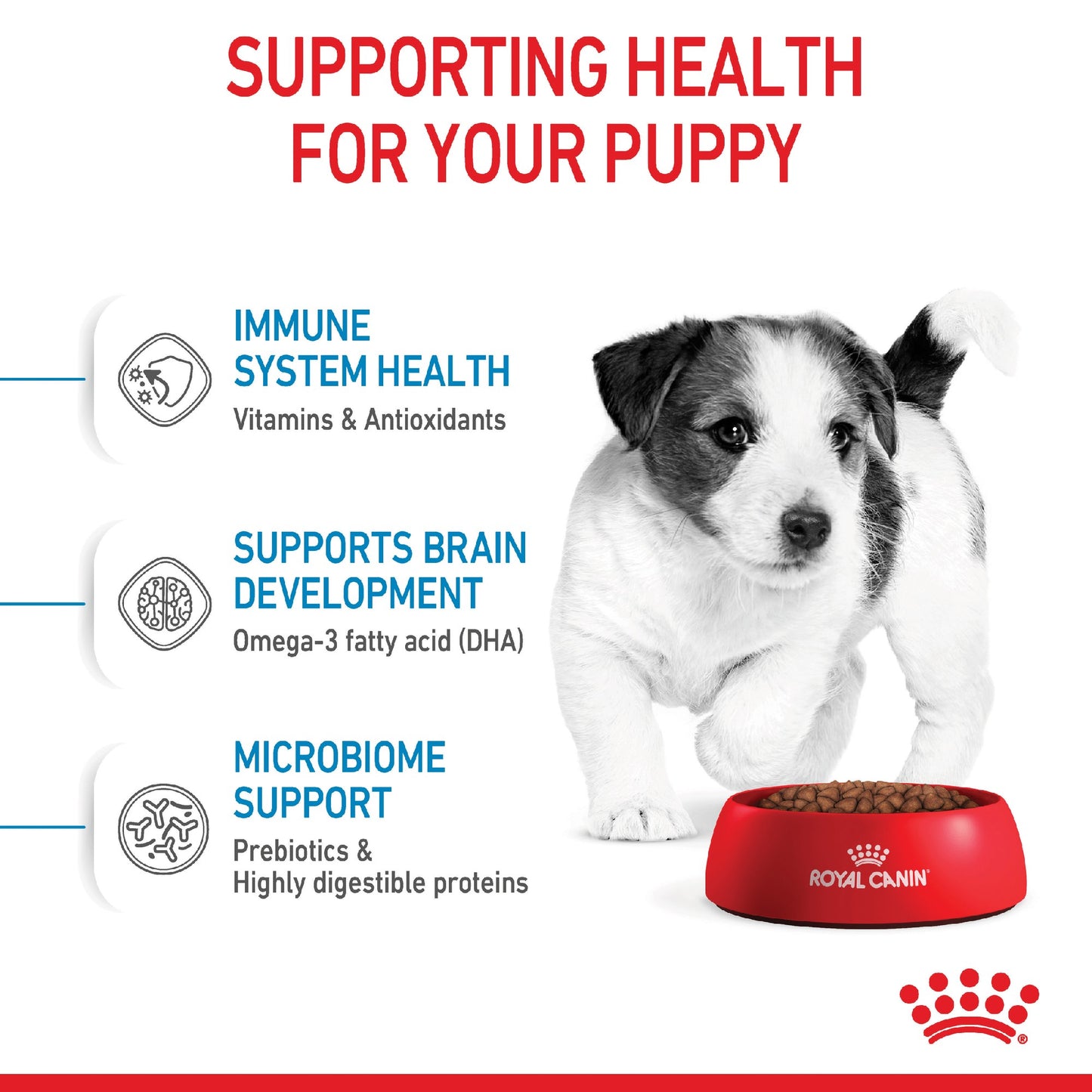 Royal Canin Dog Mini Puppy 4kg