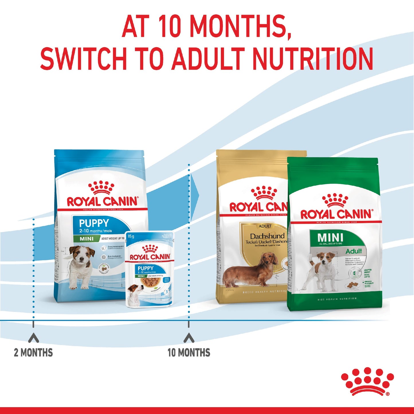 Royal Canin Dog Mini Puppy 4kg