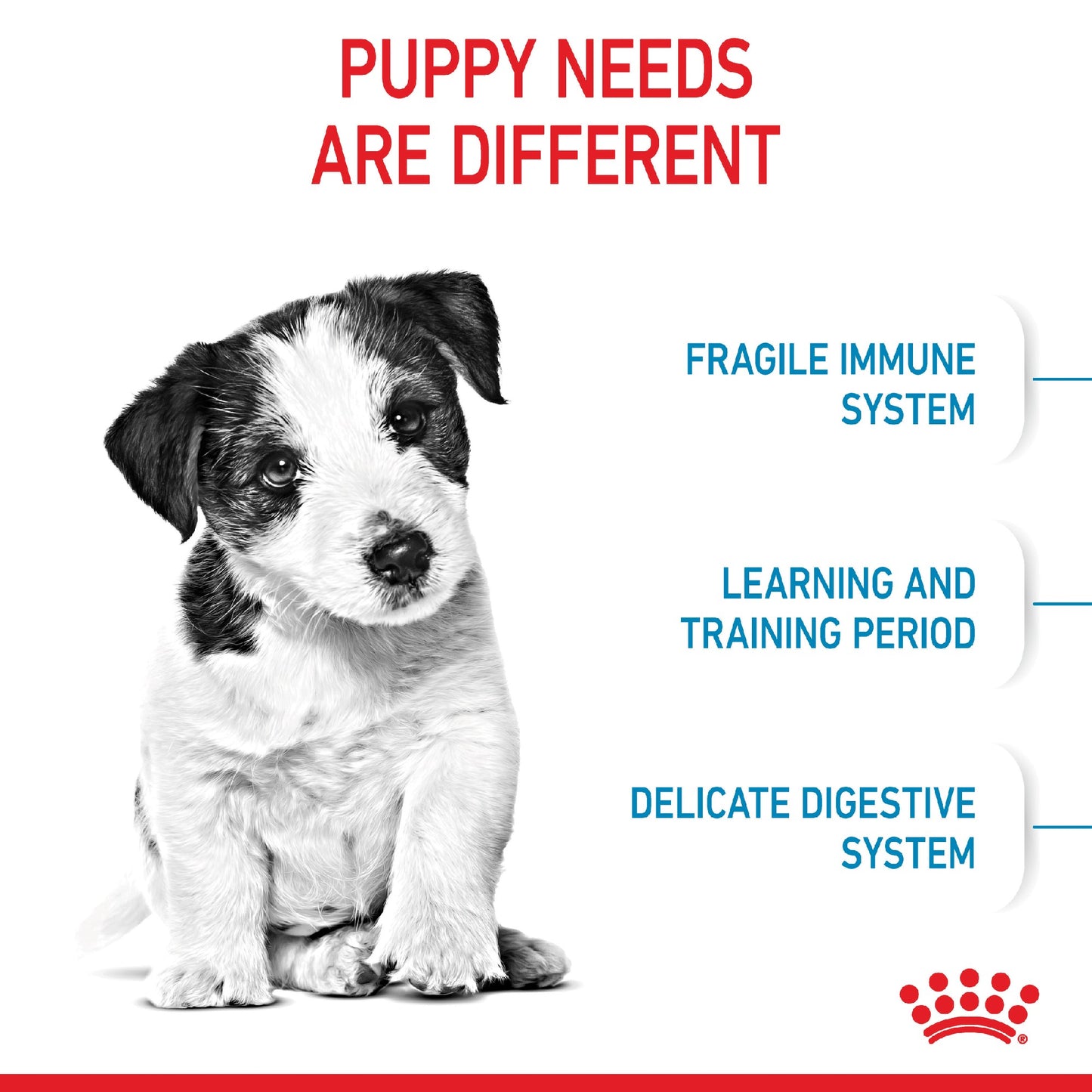 Royal Canin Dog Mini Puppy 8kg