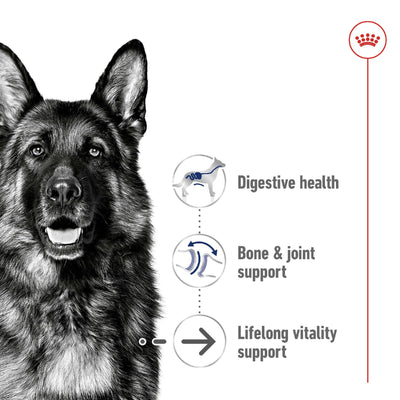 Royal Canin Dog Maxi 8+ 15kg