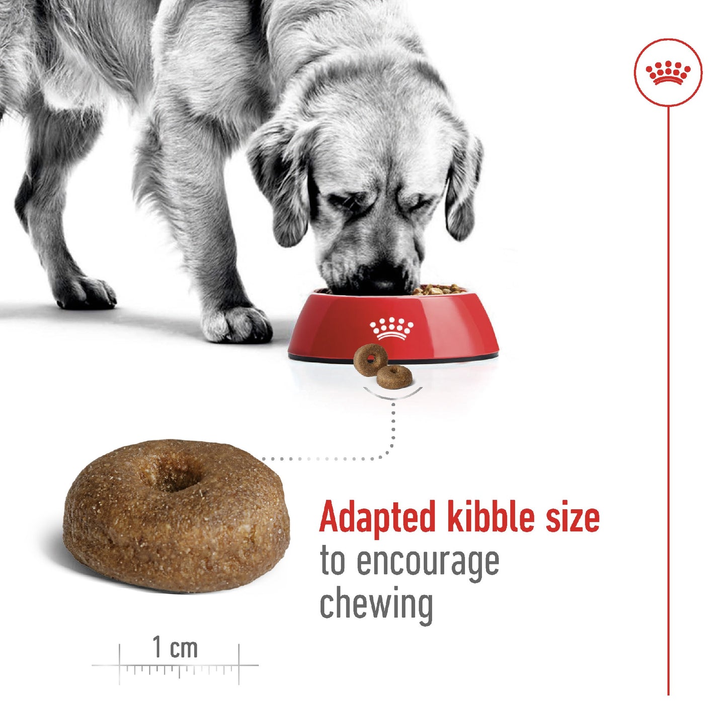 Royal Canin Dog Maxi 8+ 15kg
