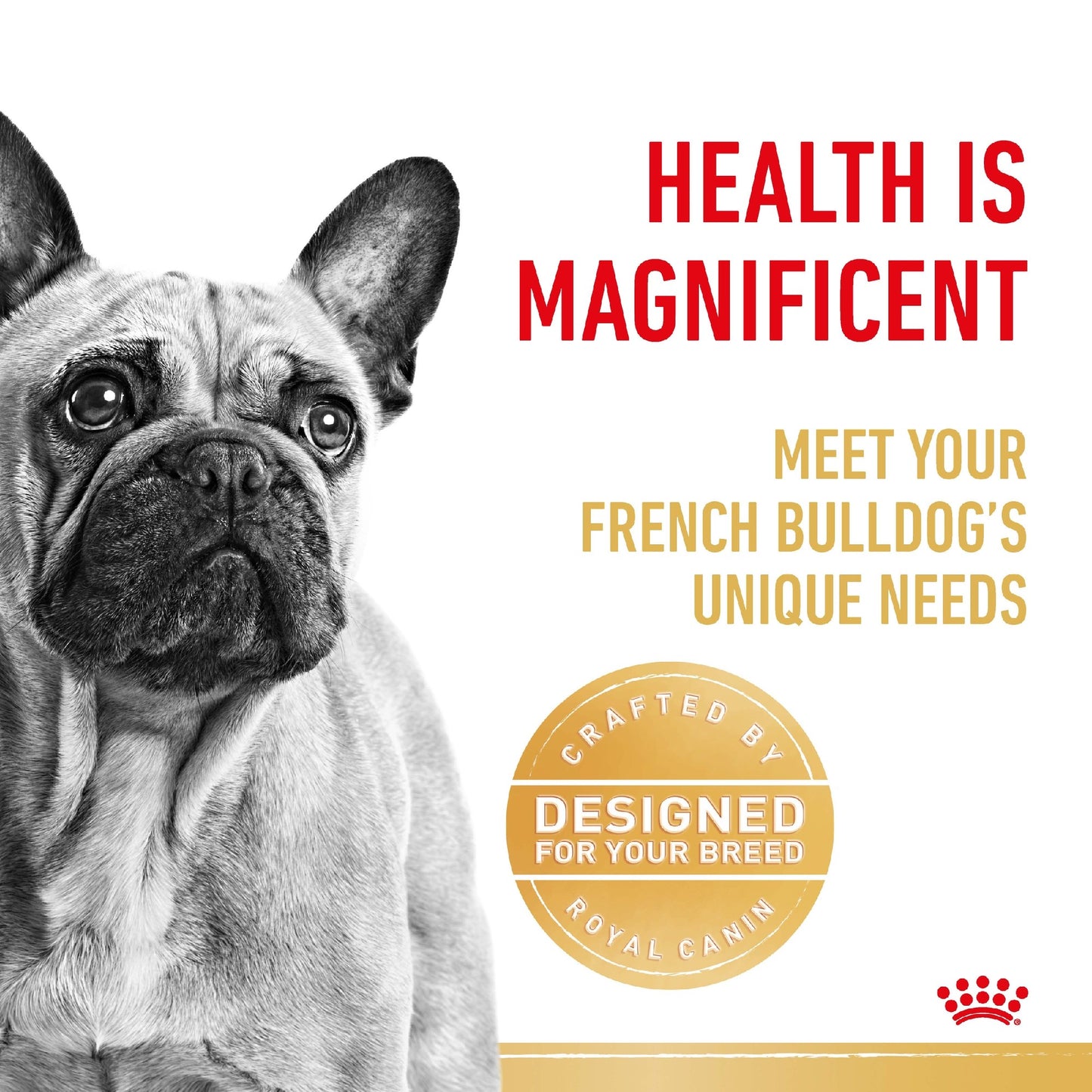 Royal Canin French Bulldog Adult 3kg