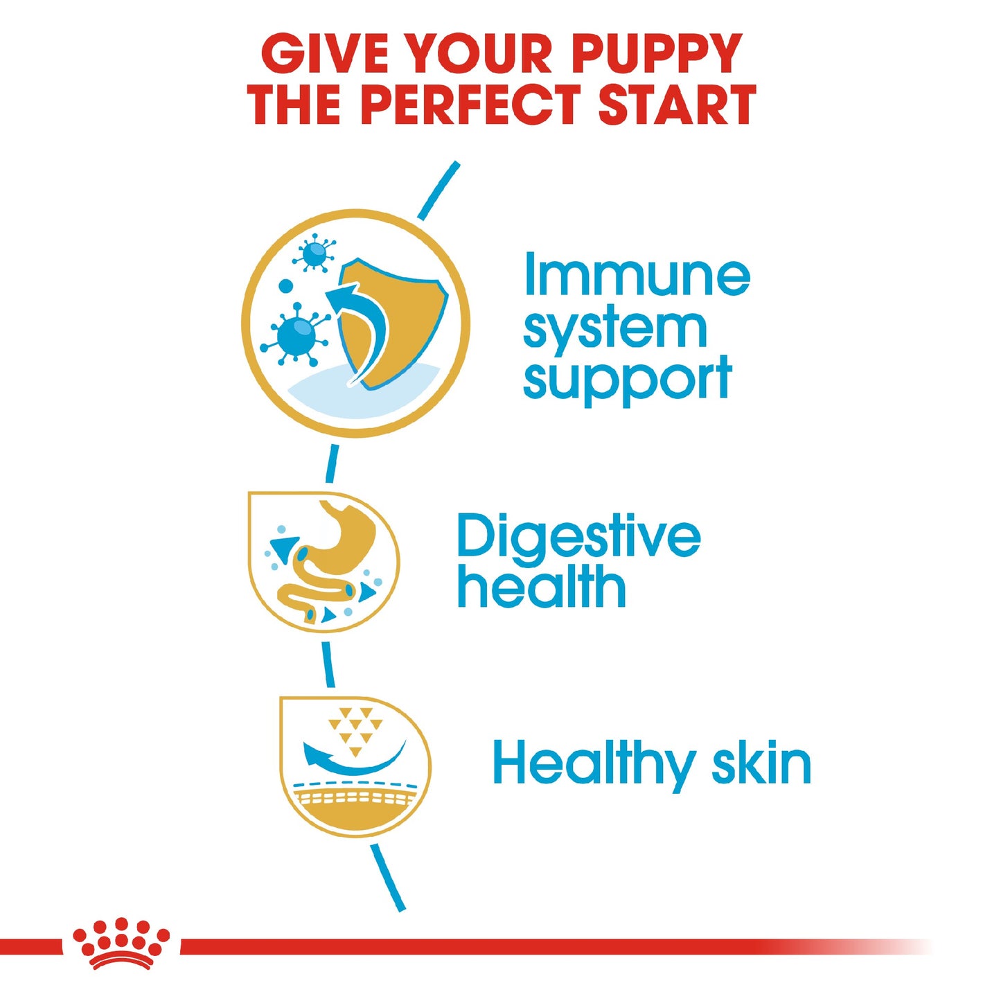 Royal Canin Dog French Bulldog Puppy 3kg