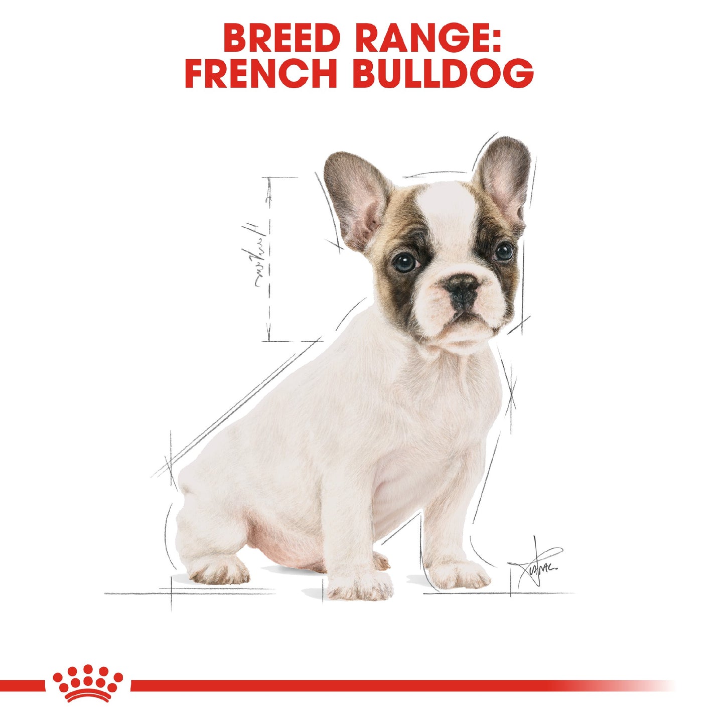 Royal Canin Dog French Bulldog Puppy 3kg