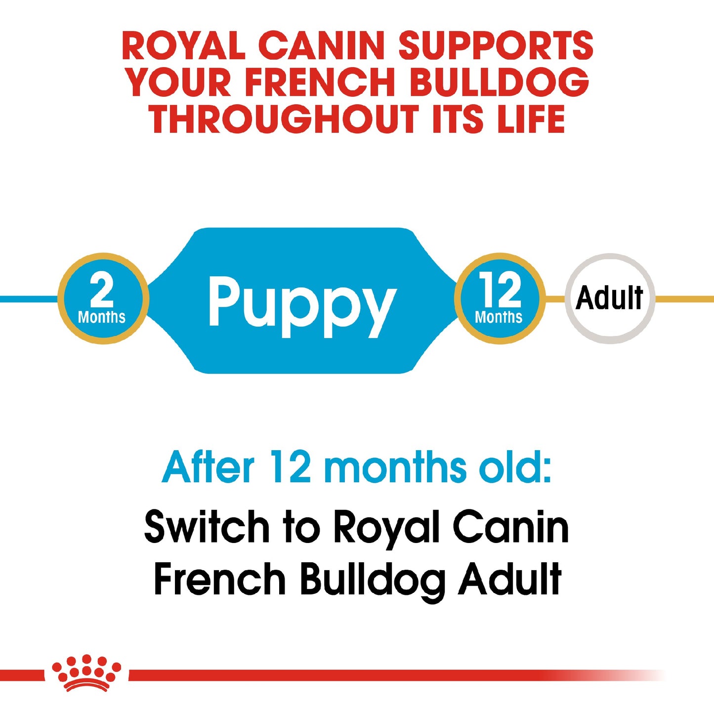 Royal Canin Dog French Bulldog Puppy 3kg