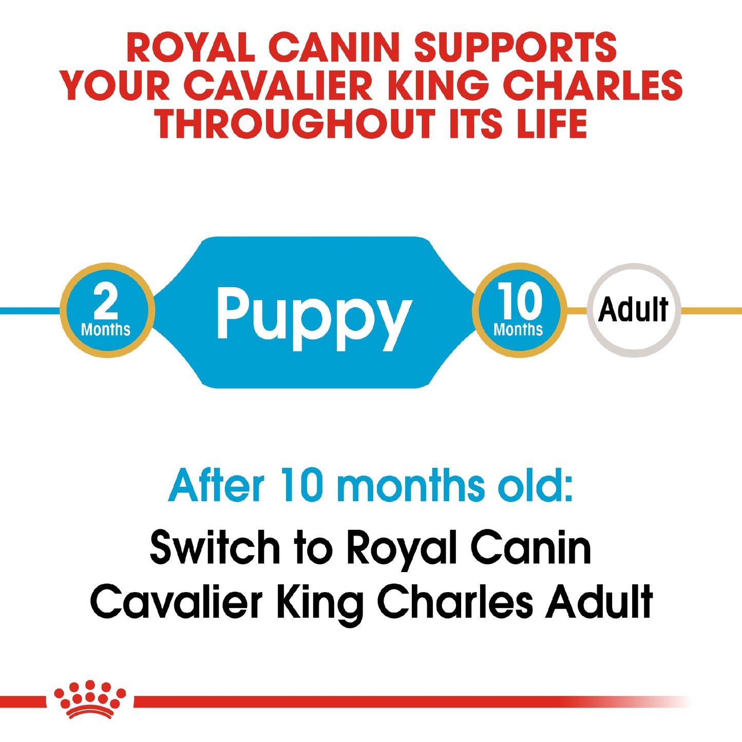 Royal Canin Dog Cavalier King Charles Puppy 1.5kg