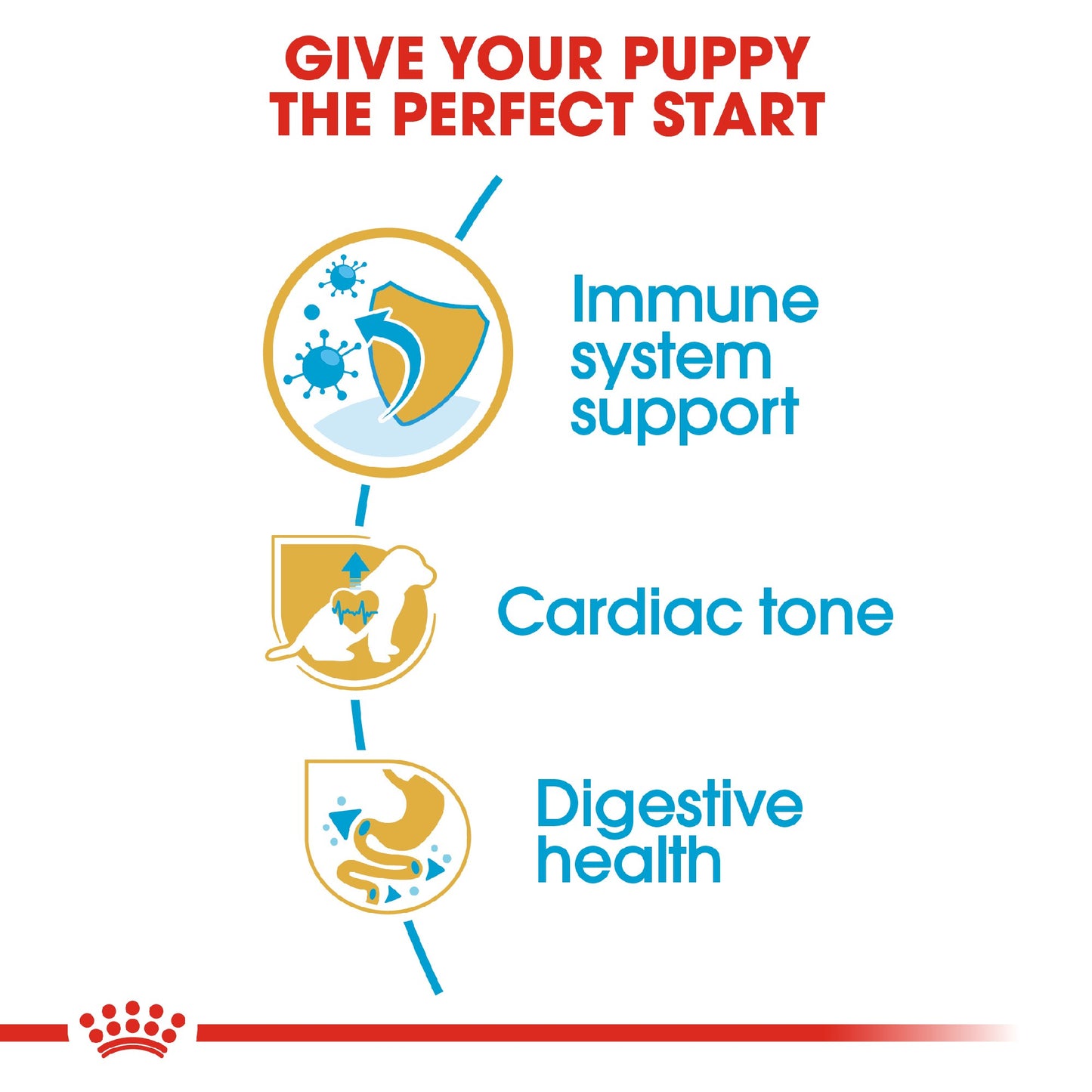 Royal Canin Dog Cavalier King Charles Puppy 1.5kg