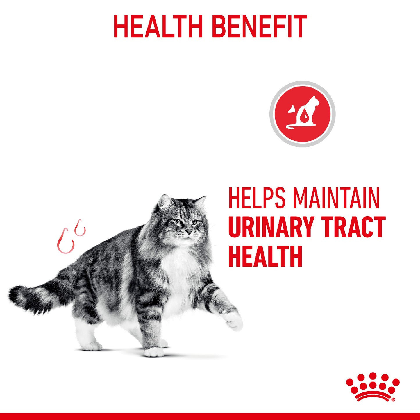 Royal Canin Cat Urinary Care 4kg