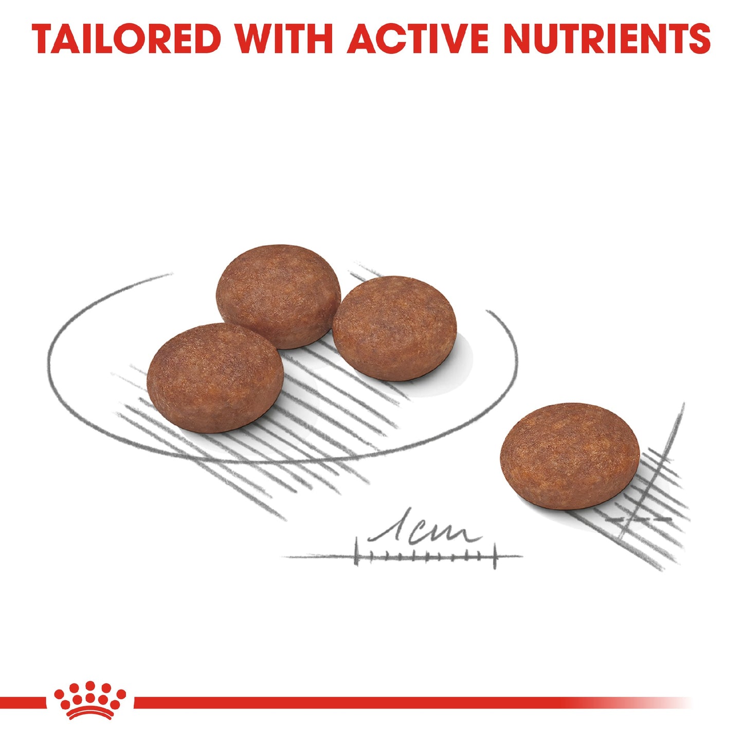 Royal Canin Digestive Care Mini 3kg